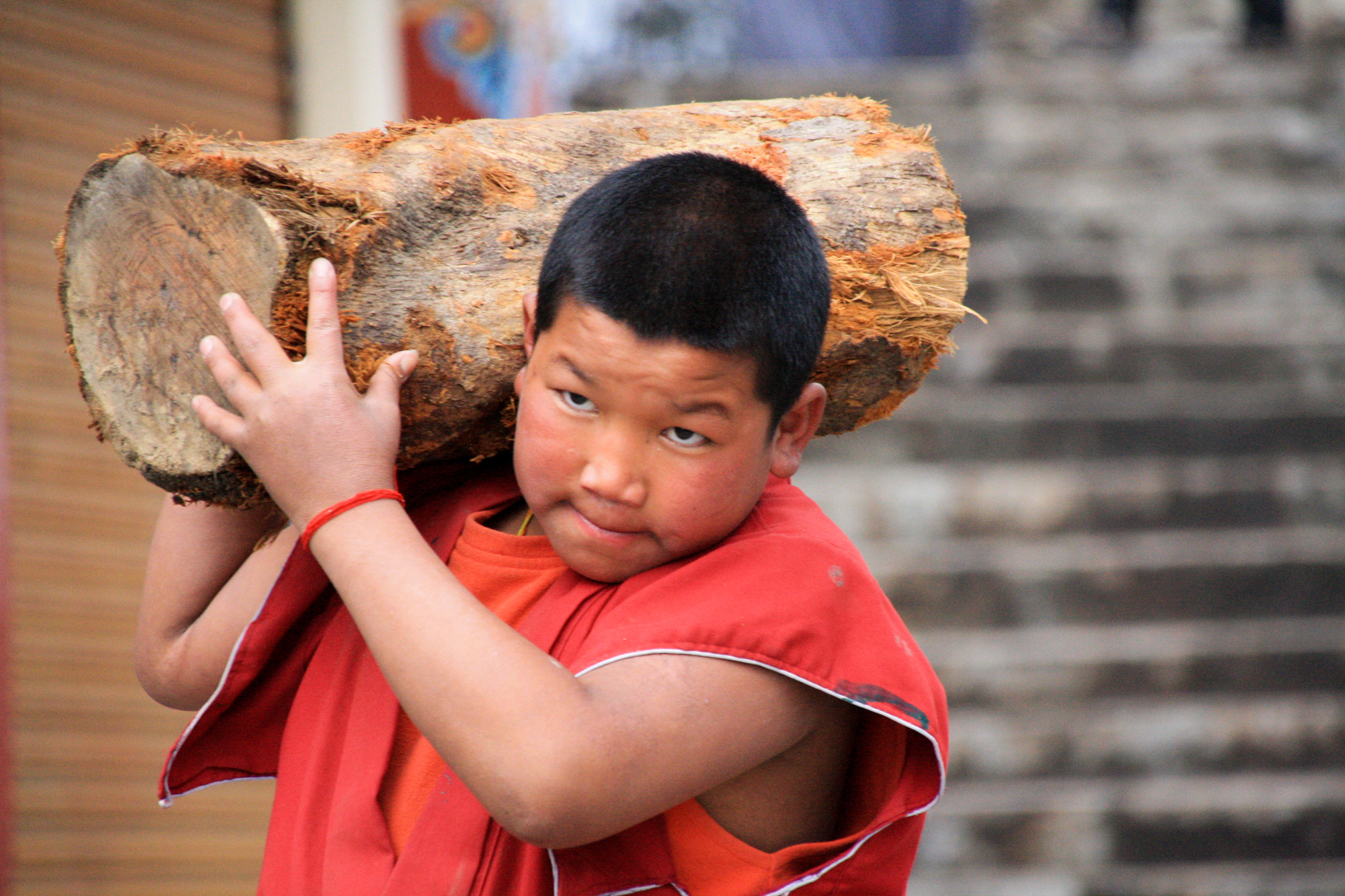 Sigma 18-250mm F3.5-6.3 DC OS HSM sample photo. Baby monk photography