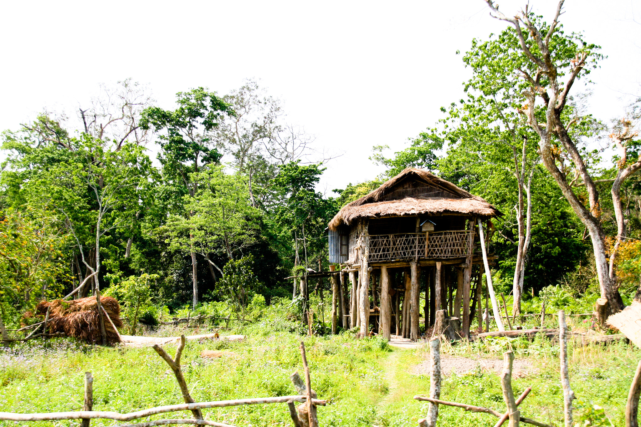 Sigma 18-250mm F3.5-6.3 DC OS HSM sample photo. Abandoned hut photography