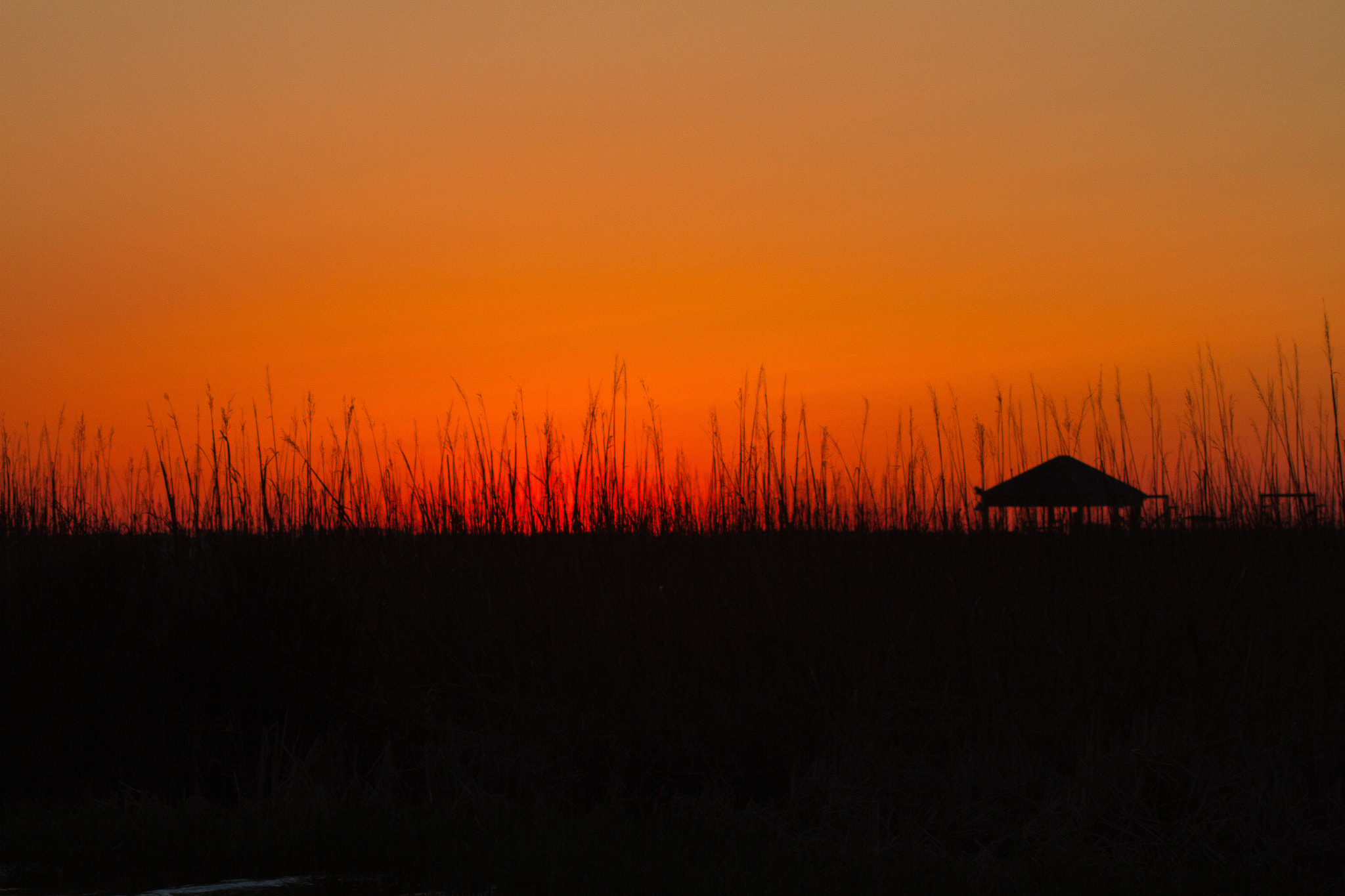 Canon EOS 7D + Canon EF 100-300mm f/5.6 sample photo. Copper sky photography