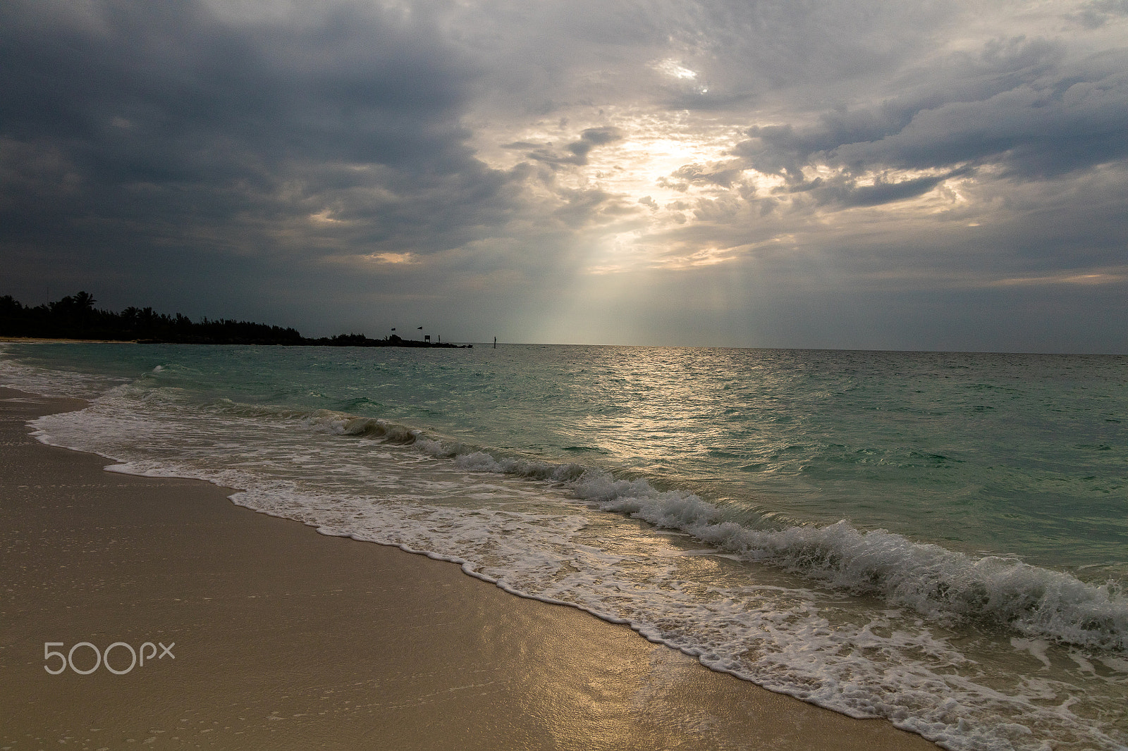 Canon EOS 5DS R sample photo. Morning rays photography
