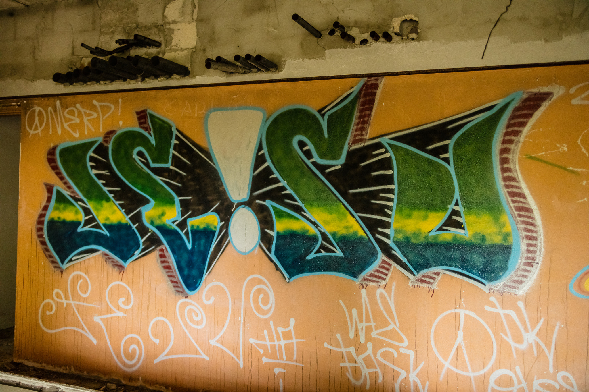Canon EOS 5DS R sample photo. Arawak tag photography