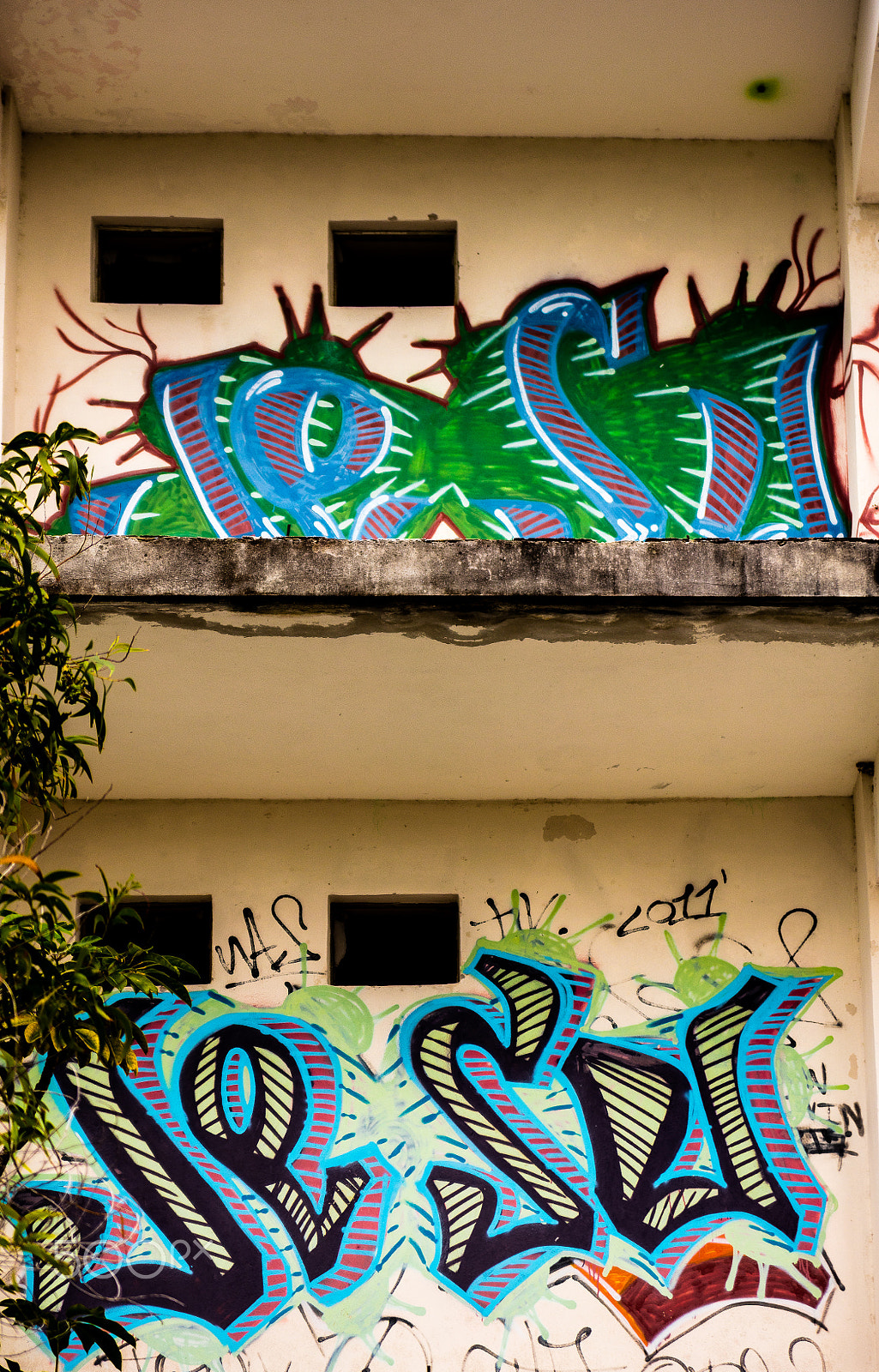Canon EOS 5DS R sample photo. Arawak double tag photography