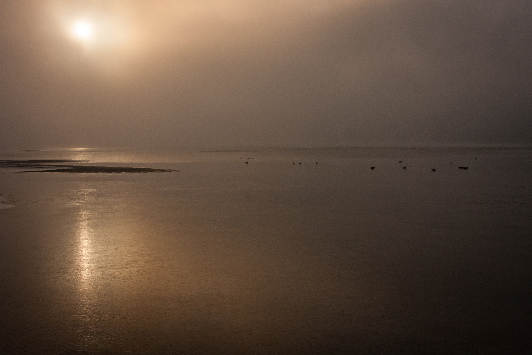 Canon EOS 40D sample photo. Lomma beach photography