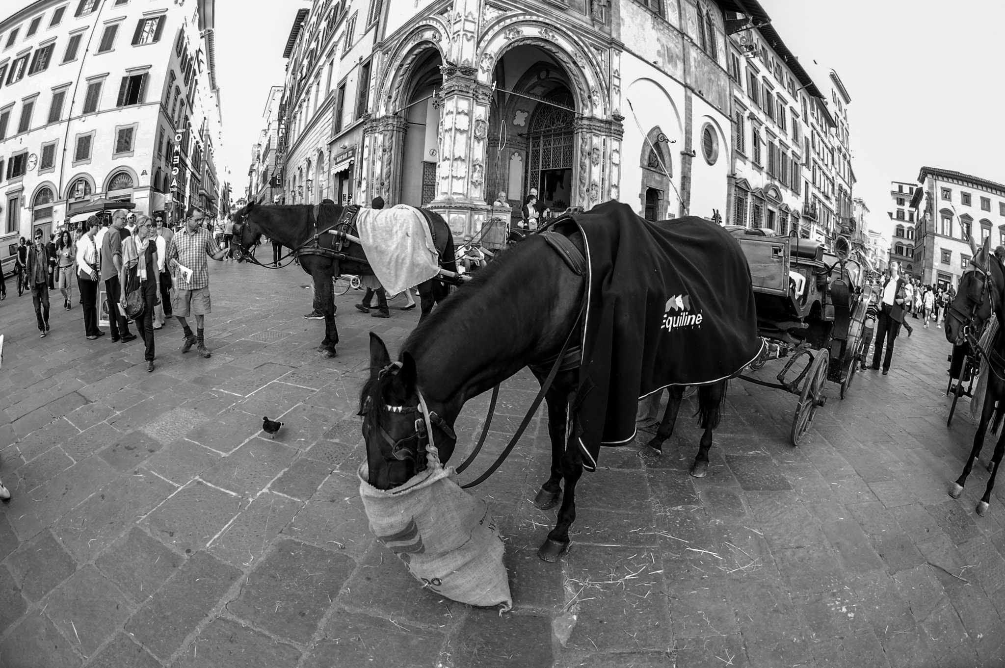 Nikon AF DX Fisheye-Nikkor 10.5mm F2.8G ED sample photo. Lunch photography