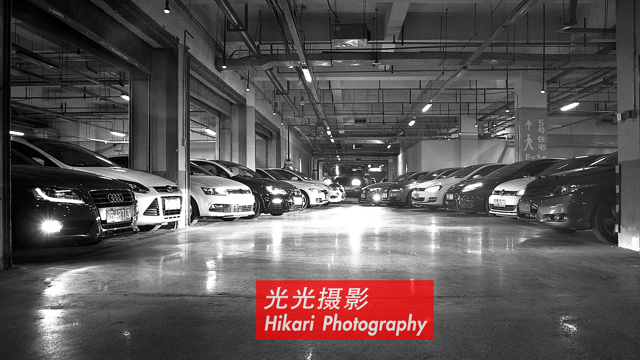 Canon EOS 500D (EOS Rebel T1i / EOS Kiss X3) + Canon EF 17-40mm F4L USM sample photo. Spring resurgence changchun. photography