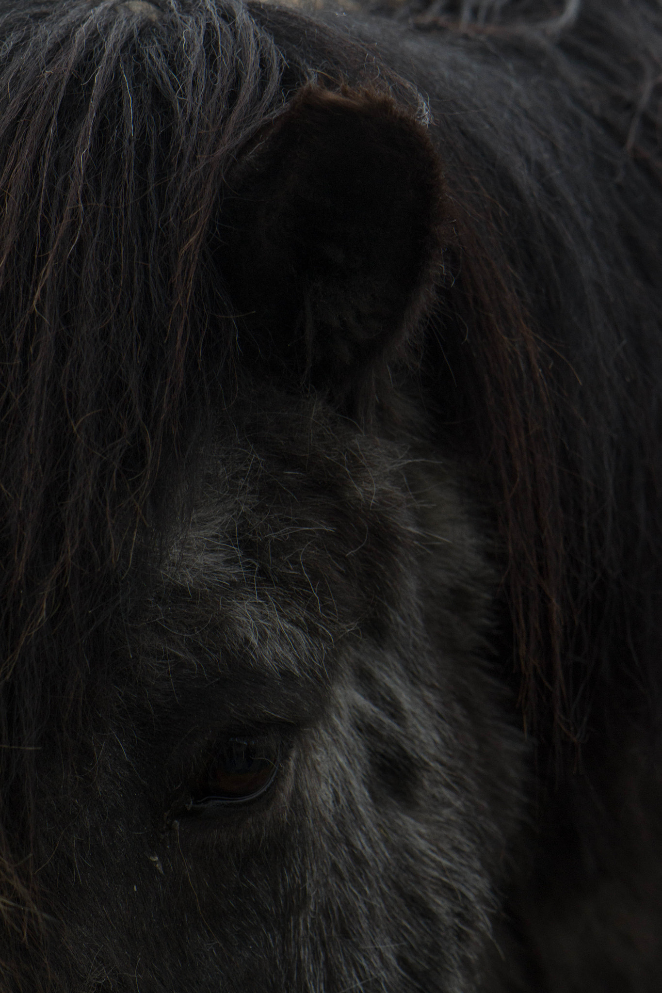 Nikon AF-S DX Micro-Nikkor 85mm F3.5G ED VR sample photo. . photography