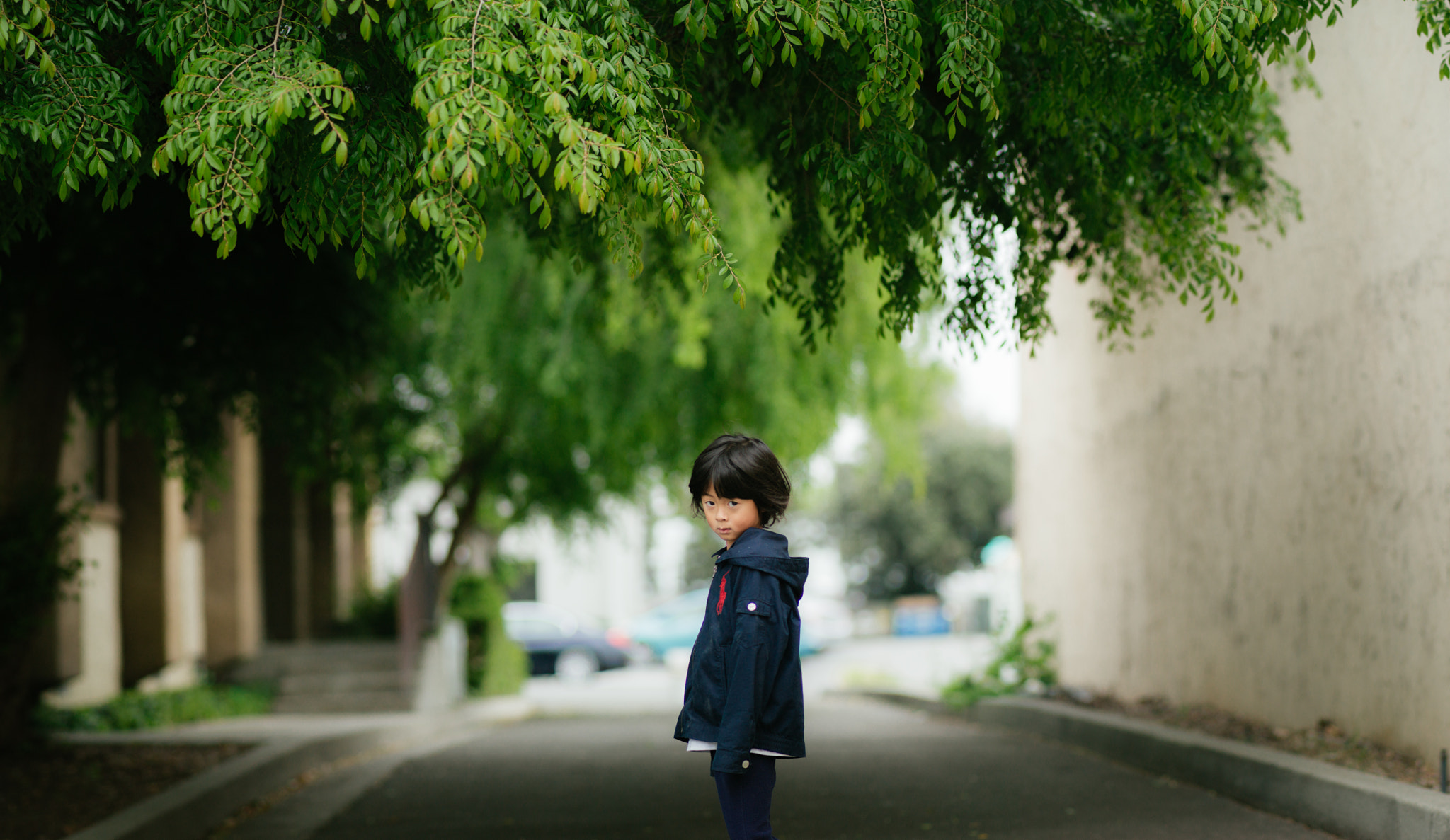 Leica S2 sample photo. 乐乐 photography
