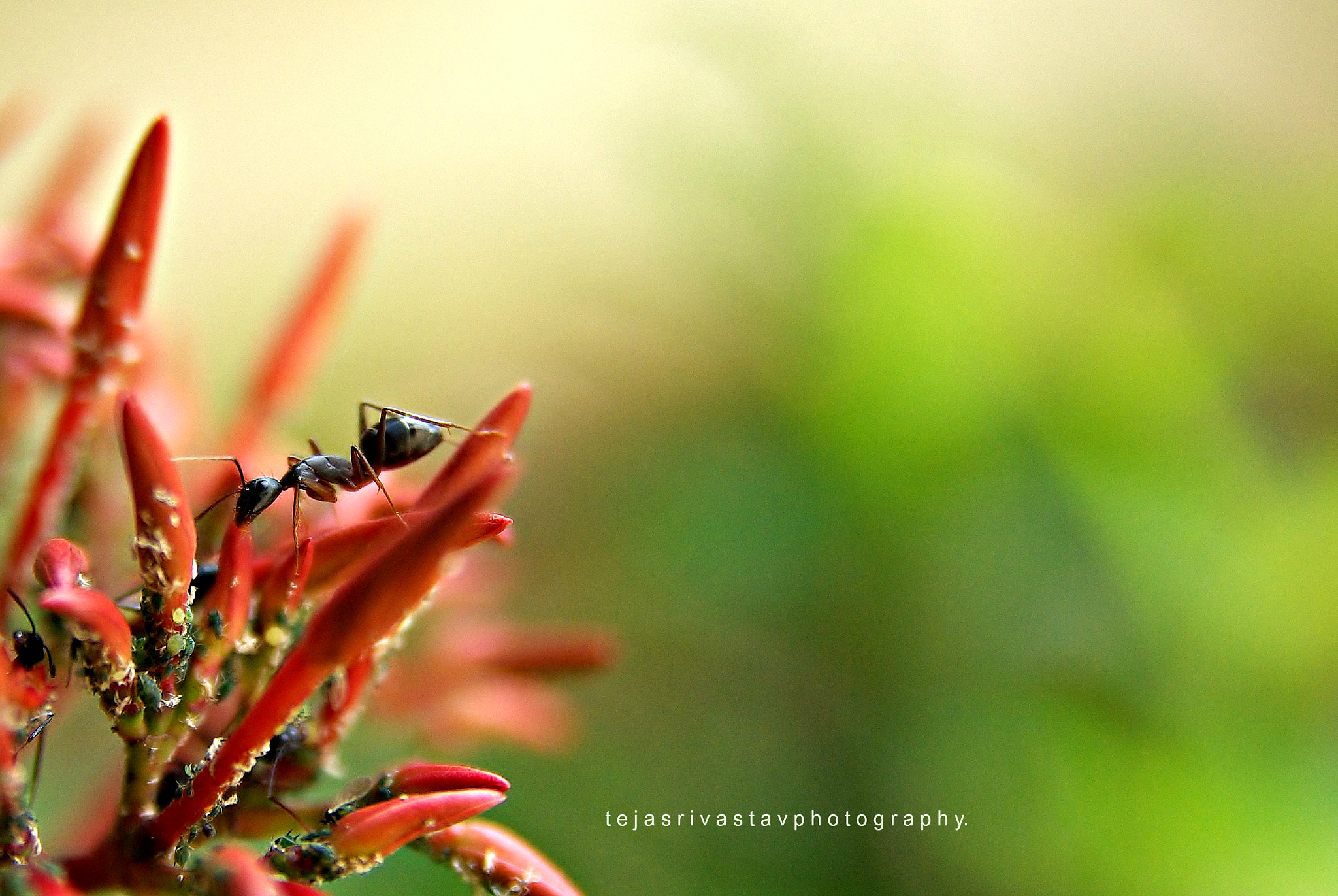 Pentax K10D + Sigma sample photo. Busy day.. photography