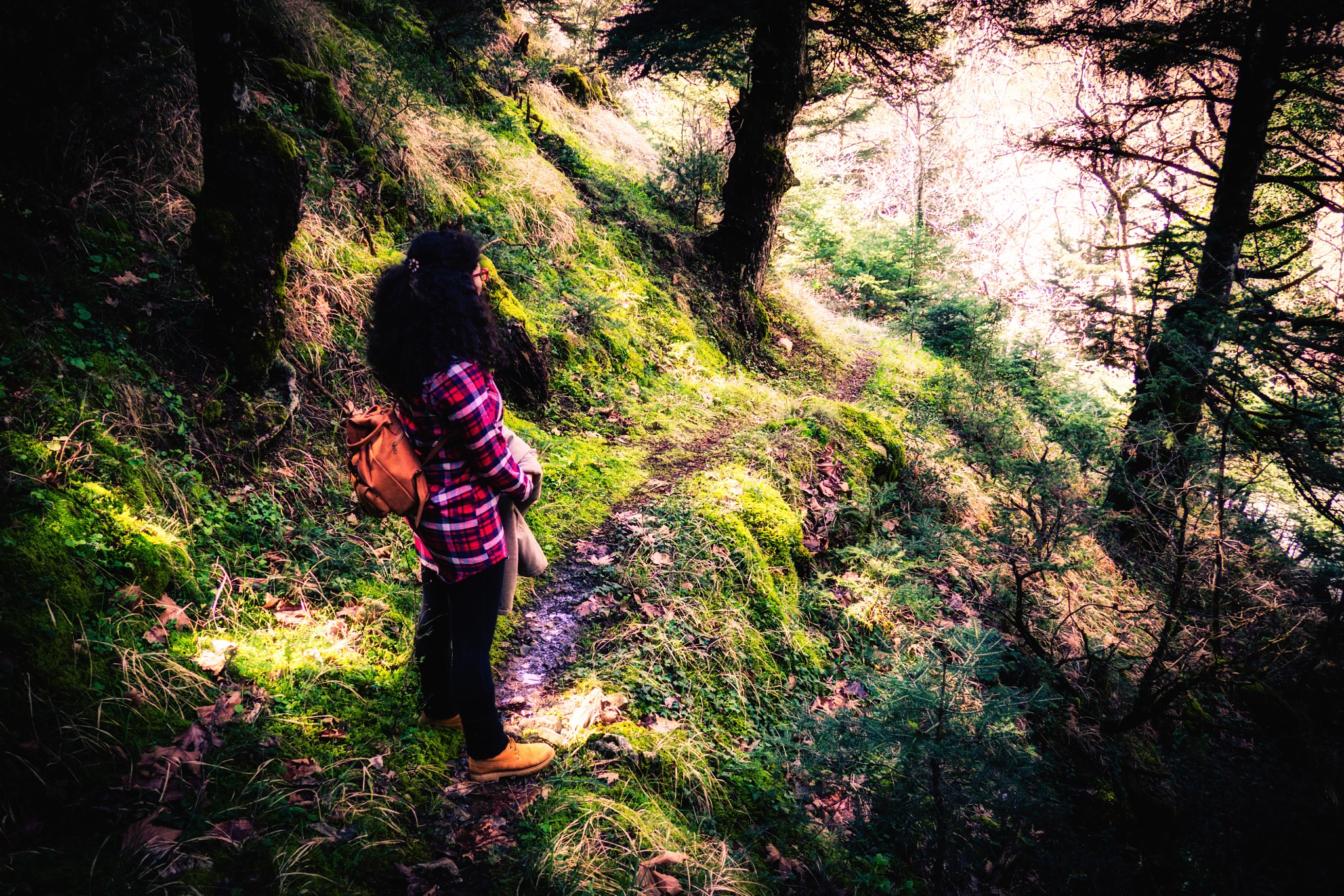 Olympus OM-D E-M10 sample photo. We live in a wonderful world that is full of beauty charm and adventure. there is no end to the... photography