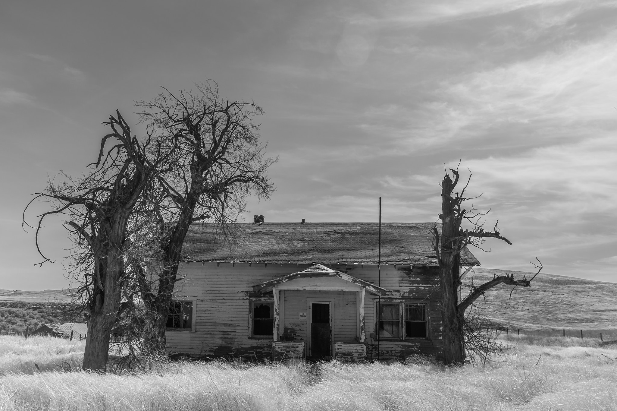 Nikon D4 sample photo. Shack photography