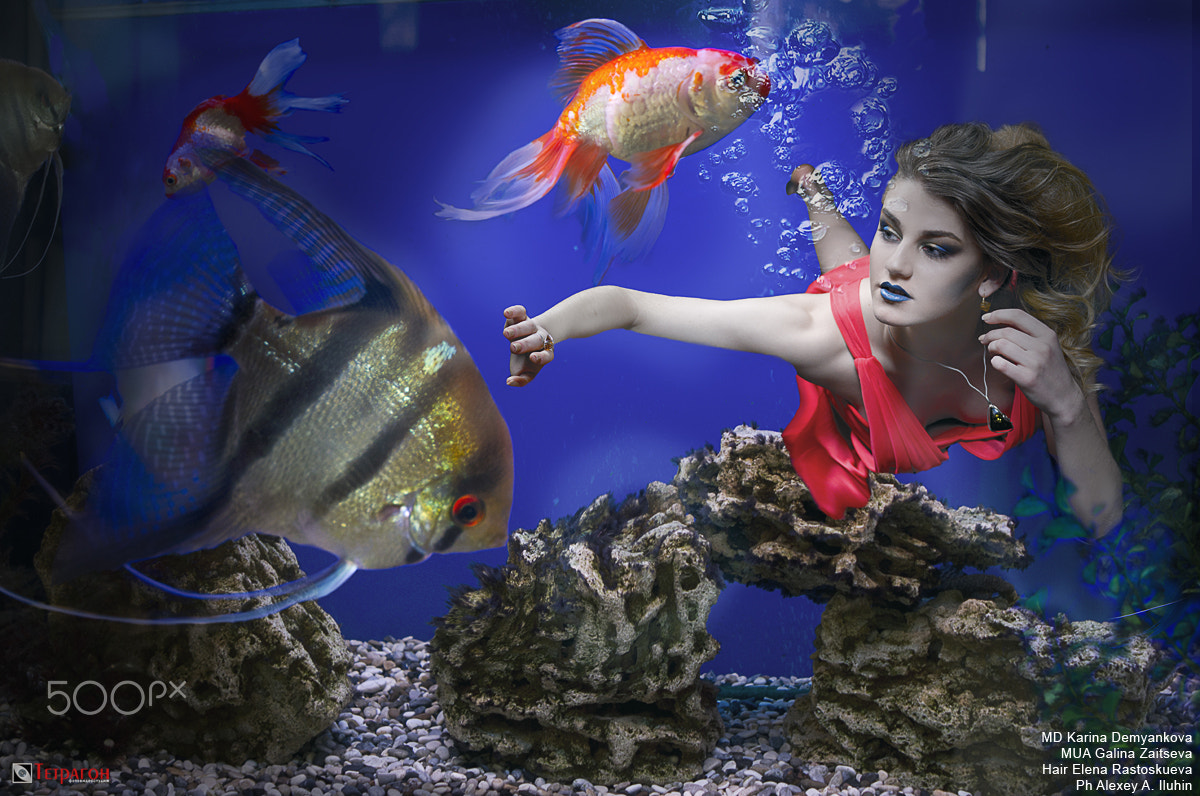 Hasselblad H3DII-39 + HC 80 sample photo. Aqua photography