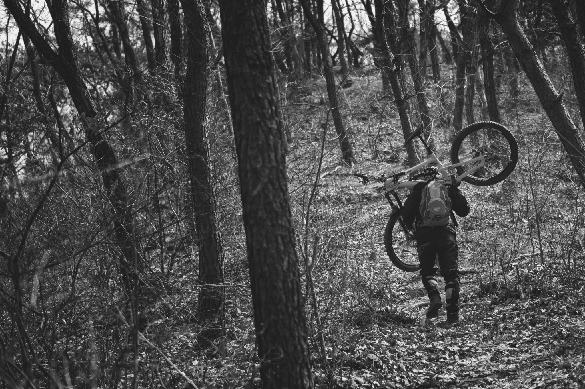 Samsung NX 45mm F1.8 sample photo. Mt.soori mtb riding photography