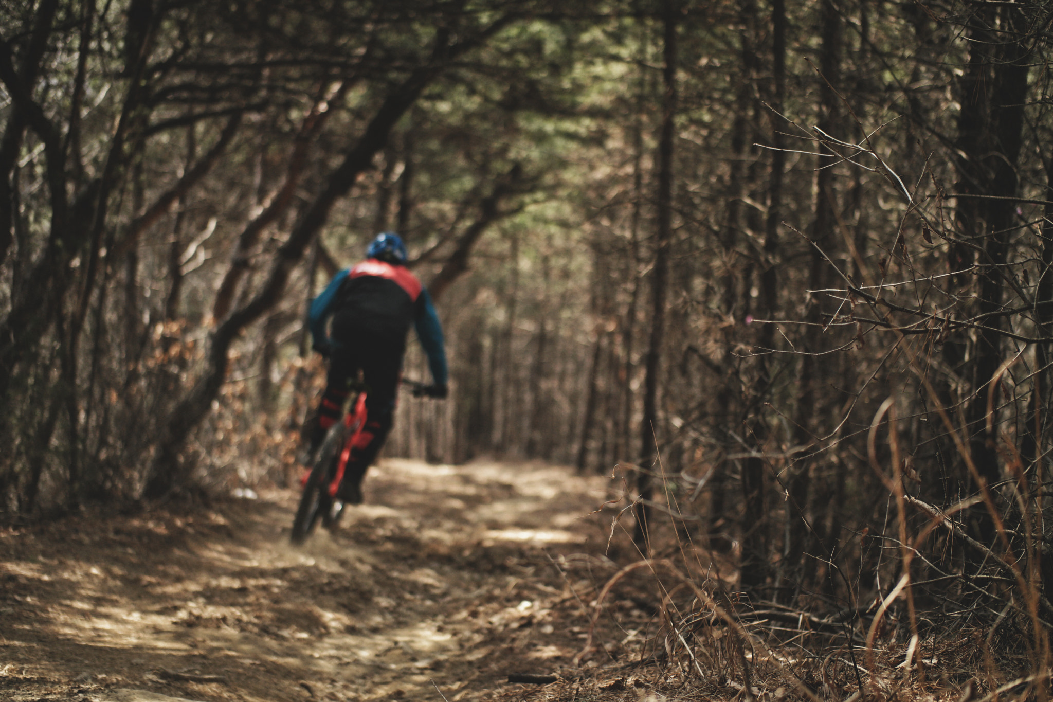 Samsung NX 45mm F1.8 sample photo. Mt.soori mtb riding photography