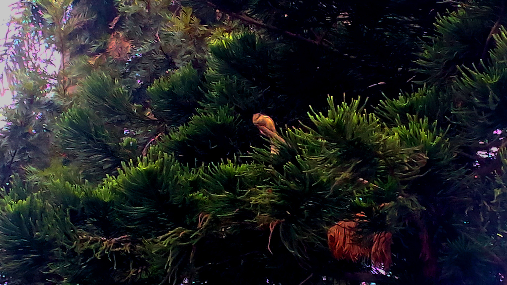 Micromax Canvas Spark sample photo. Actually, i can photography
