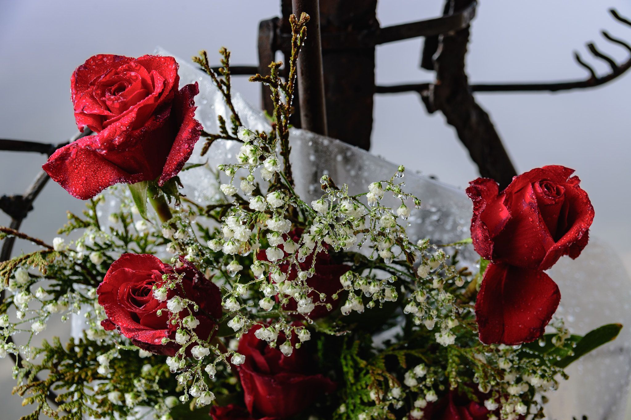 Nikon Df sample photo. Abril photography