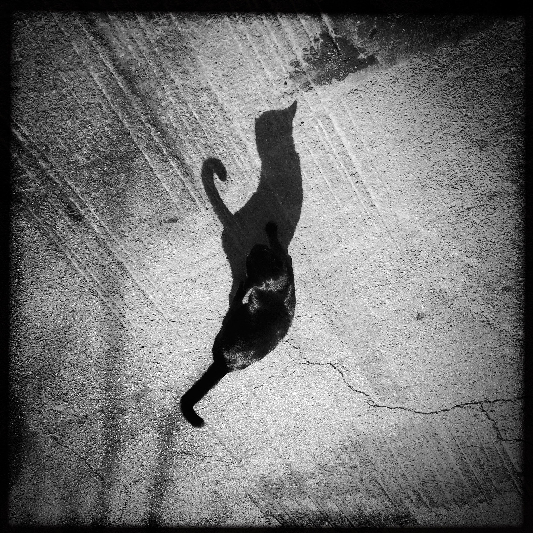 Hipstamatic 312 sample photo