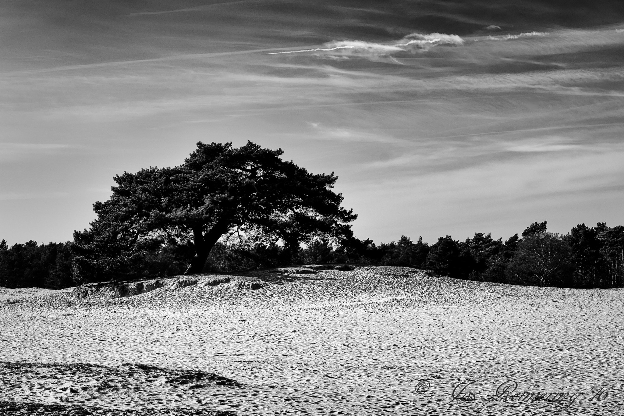 Nikon D7100 + Sigma 24-70mm F2.8 EX DG Macro sample photo. Dutch desert ii photography