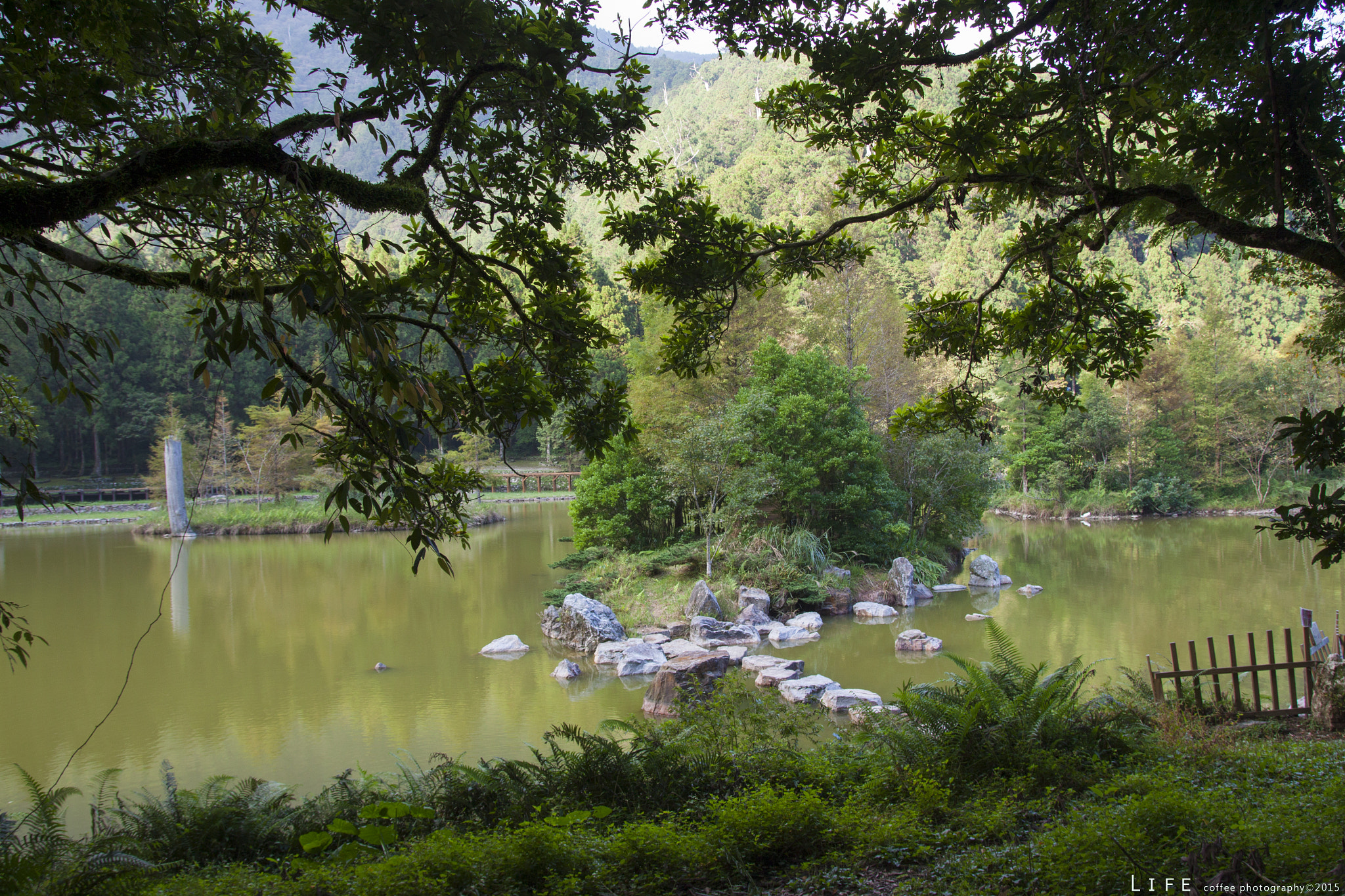 Sigma 17-70mm F2.8-4 DC Macro OS HSM sample photo. () photography