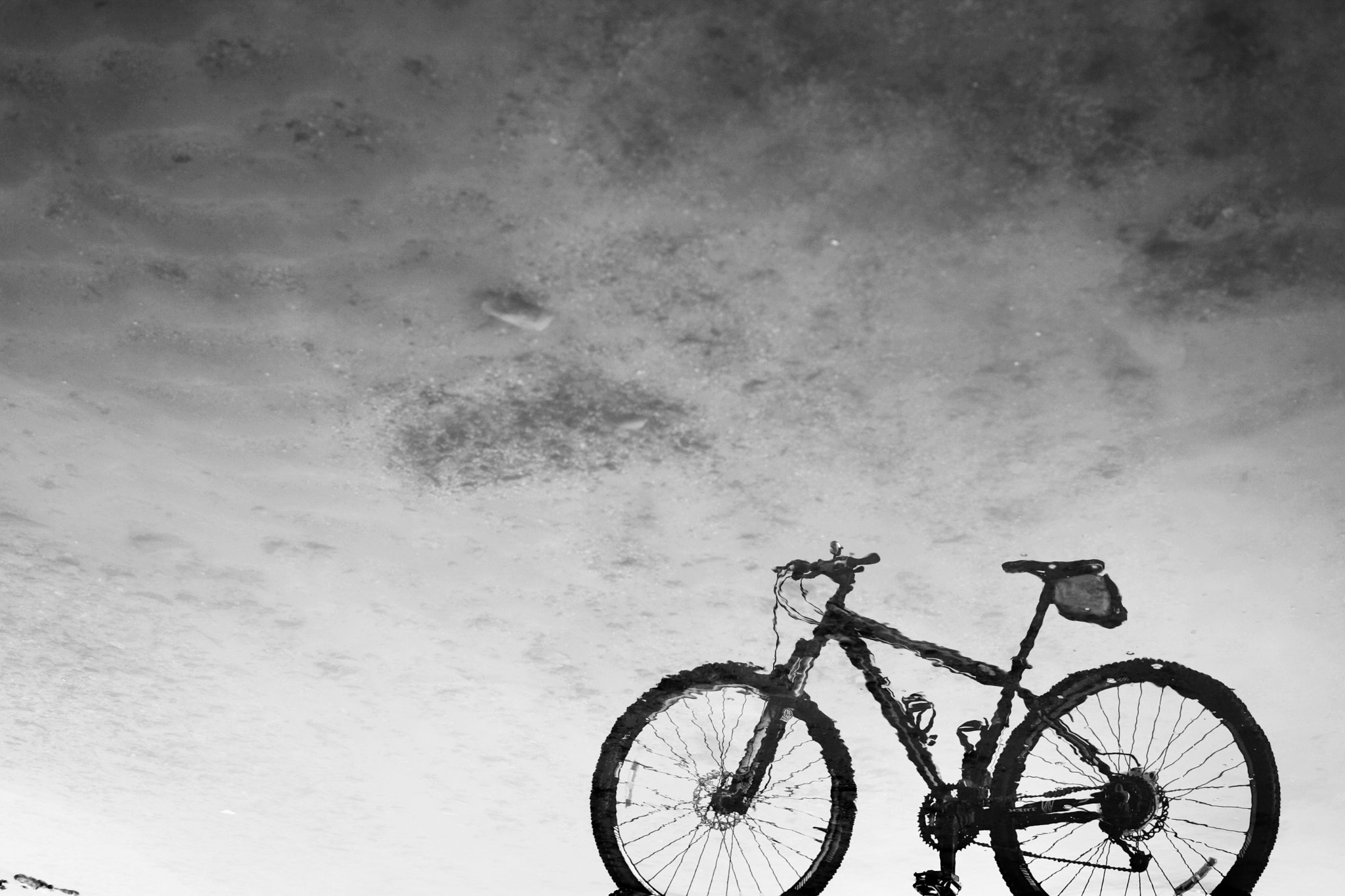 ZEISS Planar T* 50mm F1.4 sample photo. Mountain bike photography