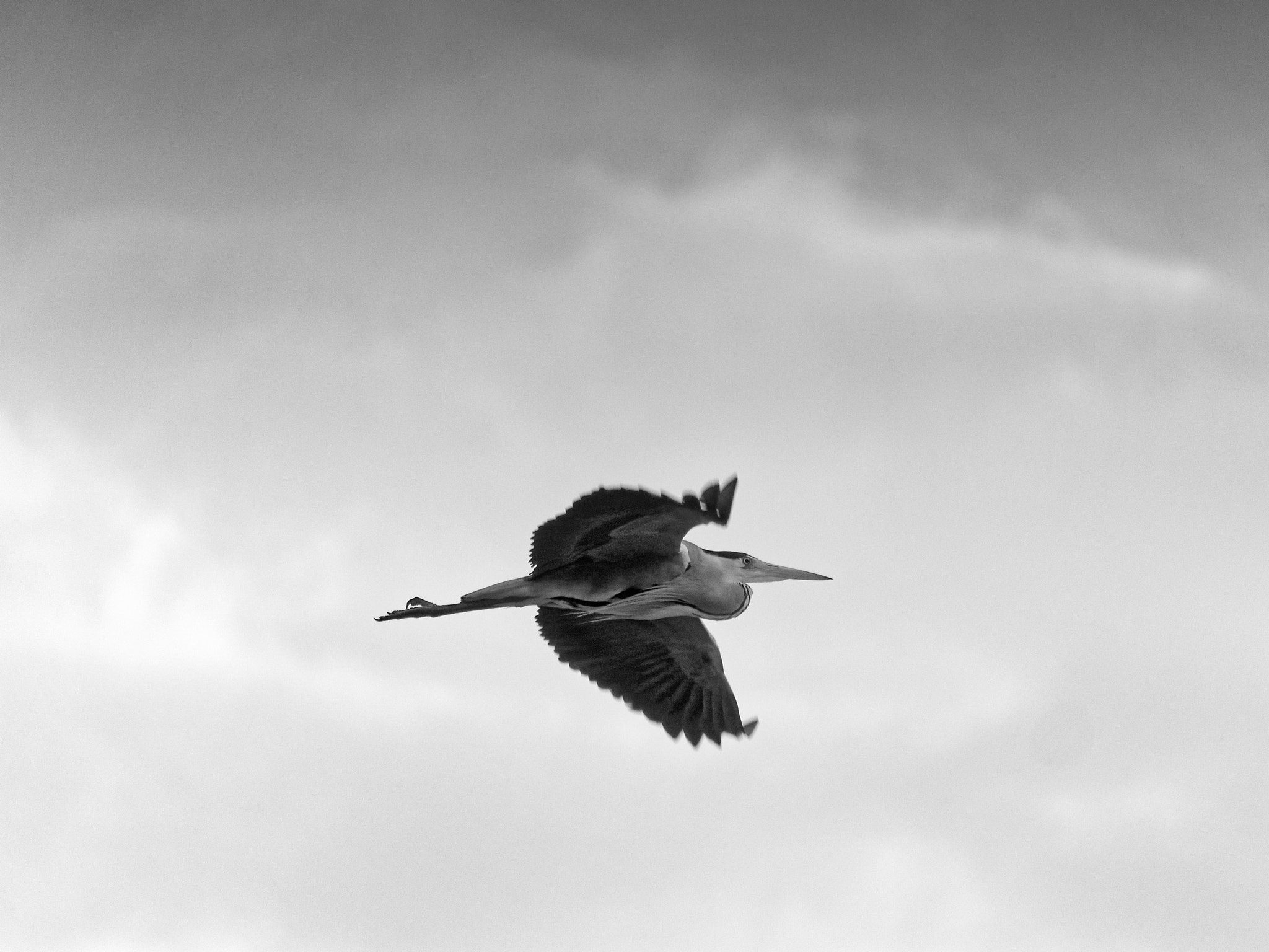 Panasonic Lumix DMC-GH4 sample photo. Aero dynamics ii photography