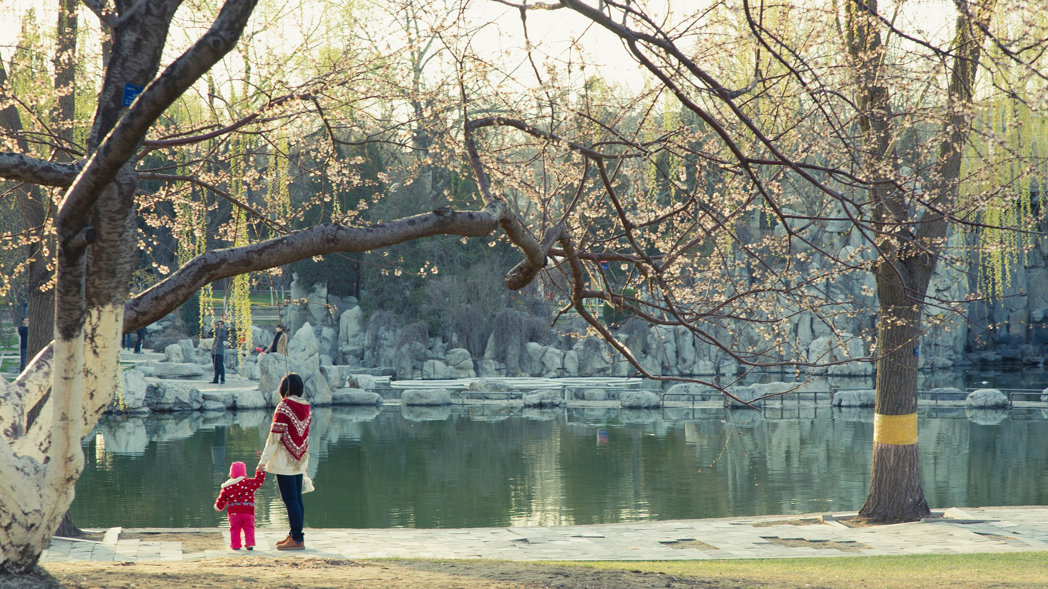 Nikon D3S + Sigma 85mm F1.4 EX DG HSM sample photo. Spring photography