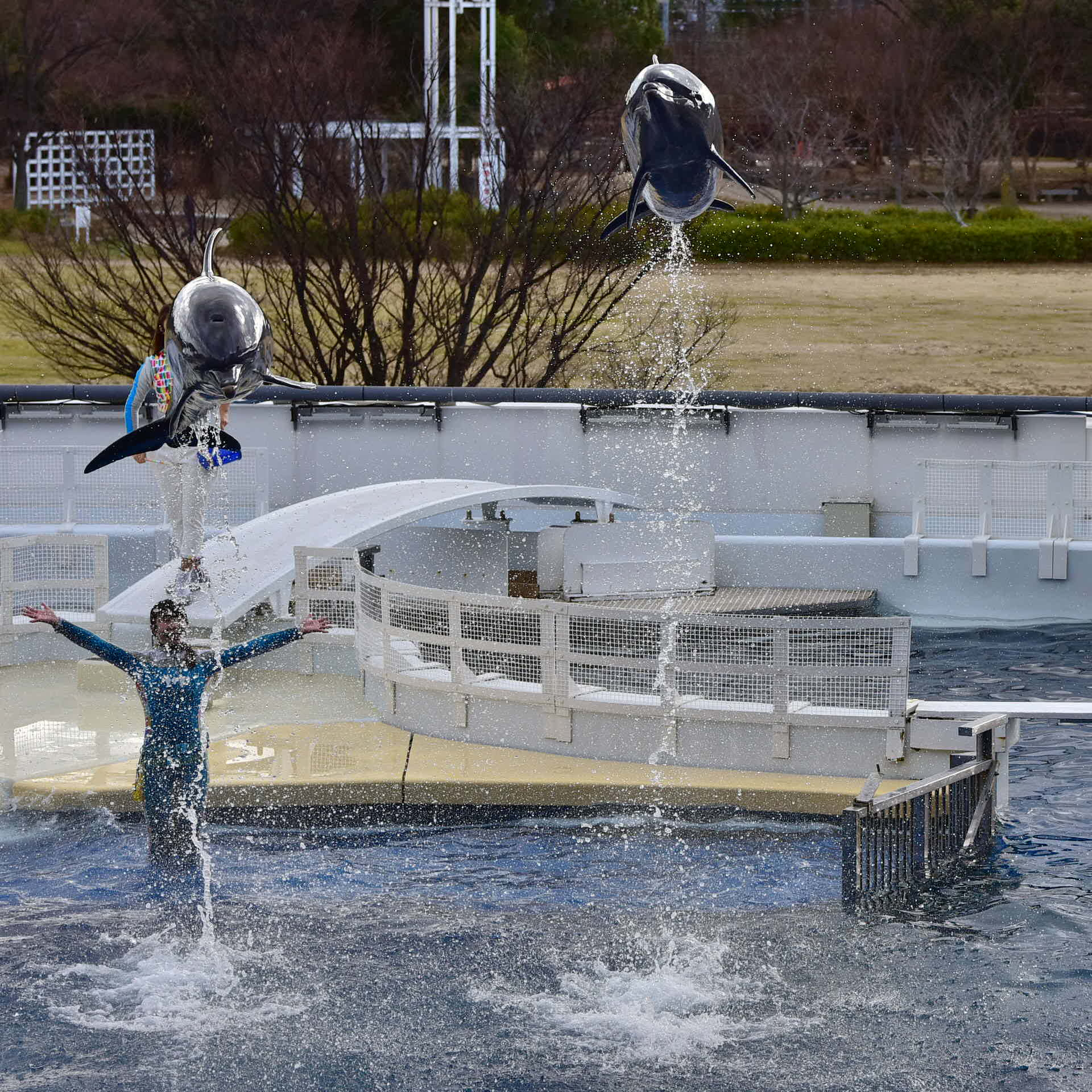 Tamron SP 70-200mm F2.8 Di VC USD sample photo. Kyoto aquarium photography
