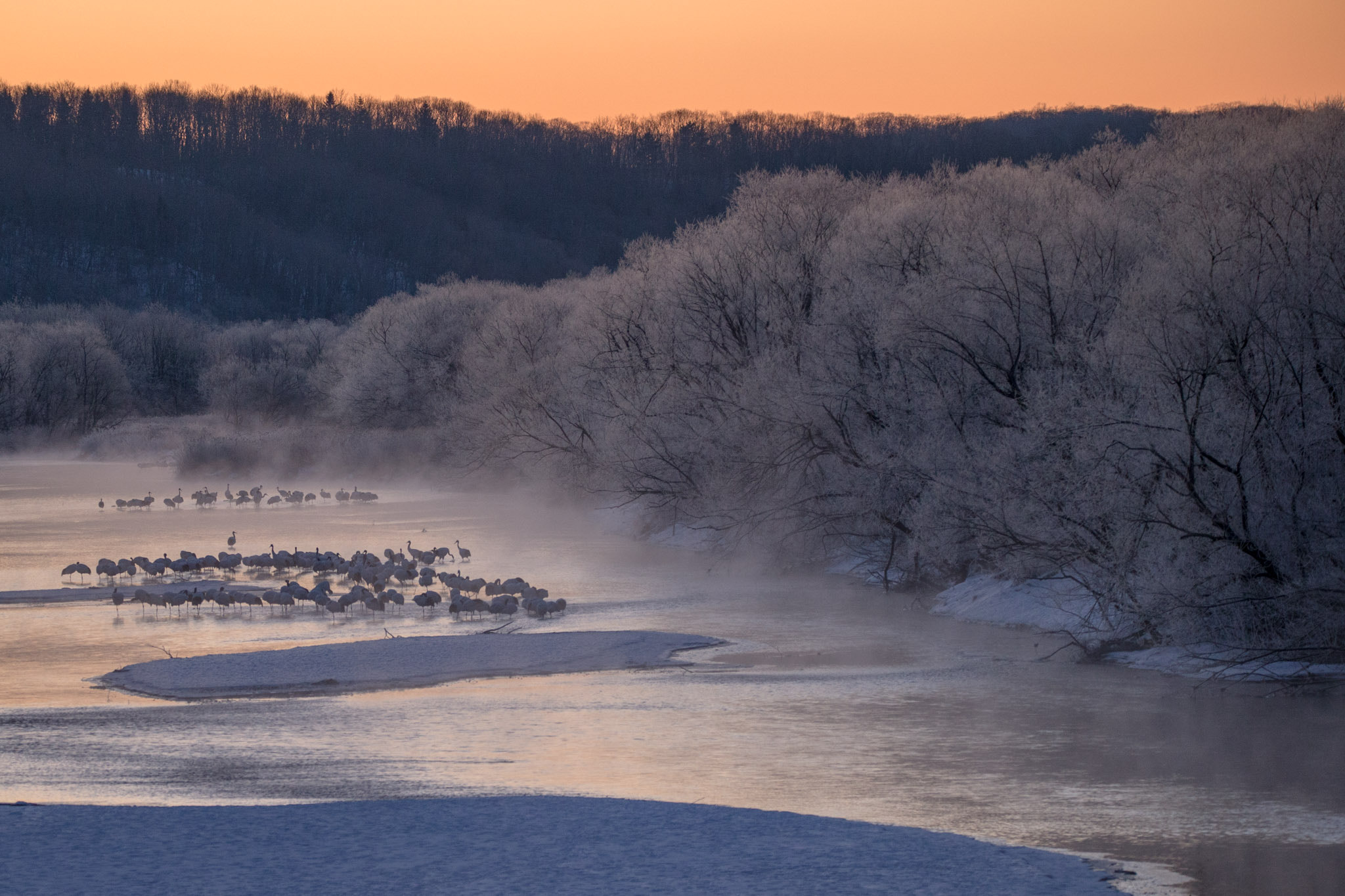 Sigma 150-600mm F5-6.3 DG OS HSM | C sample photo. Calm dawn photography