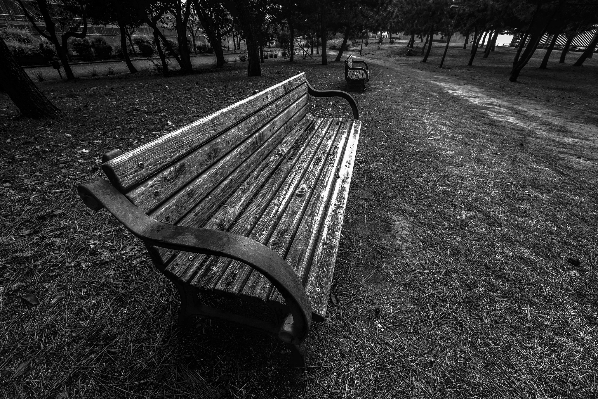 Panasonic Lumix G Vario 7-14mm F4 ASPH sample photo. 0143. photography