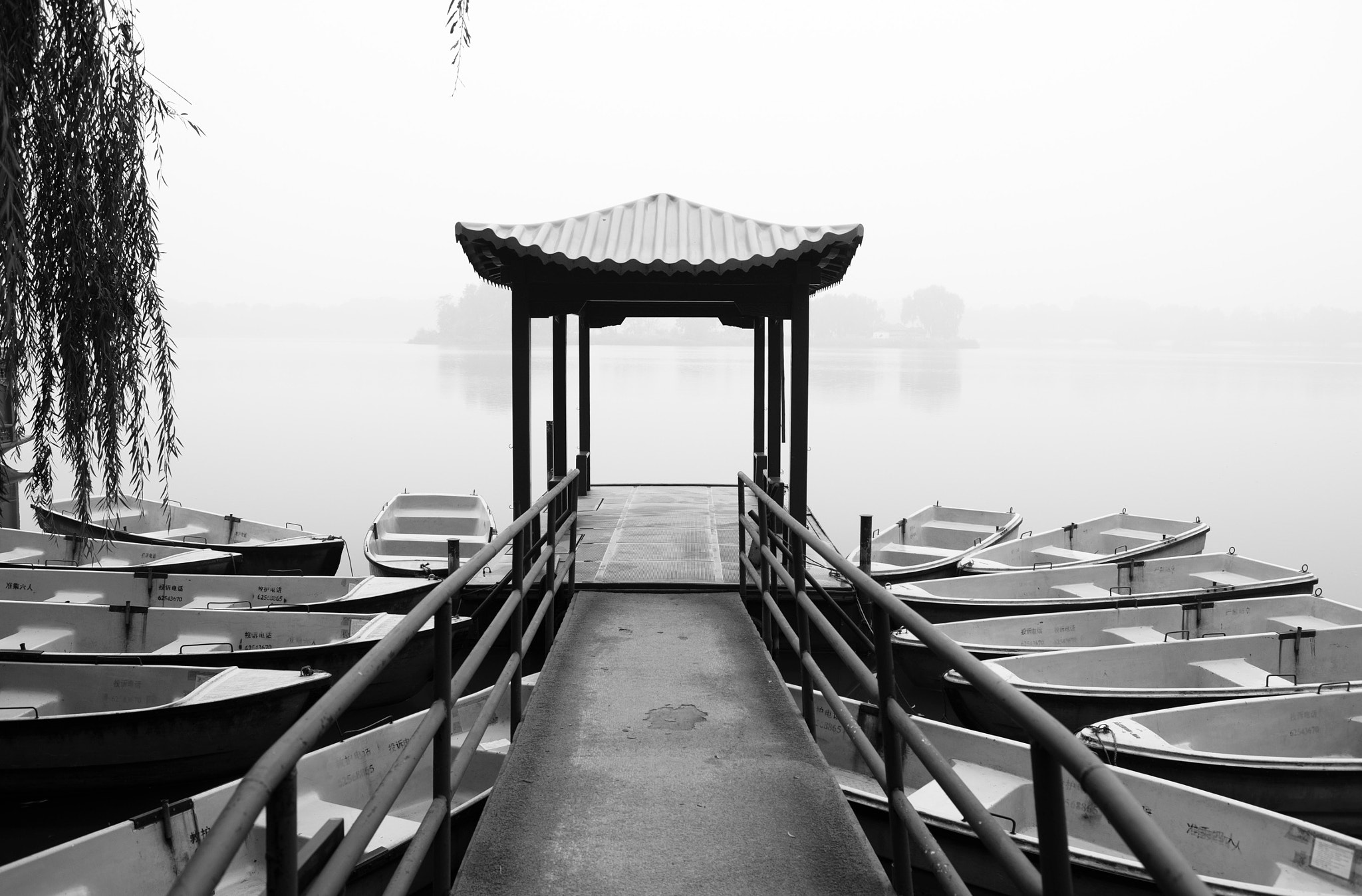 Nikon AF-S Nikkor 28-70mm F2.8 ED-IF sample photo. Yuan mingyuan photography