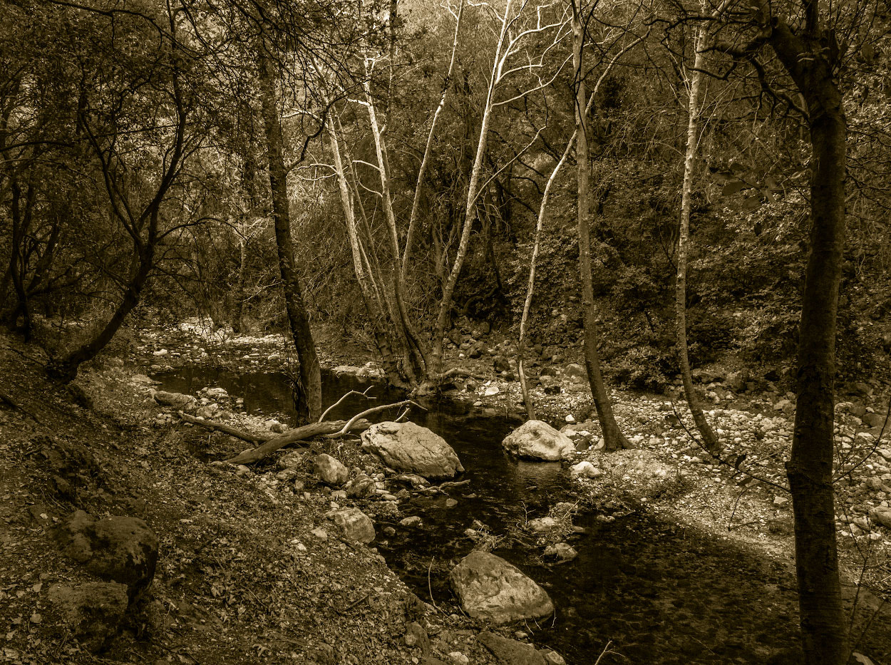 Canon EOS 550D (EOS Rebel T2i / EOS Kiss X4) sample photo. Near a stream photography