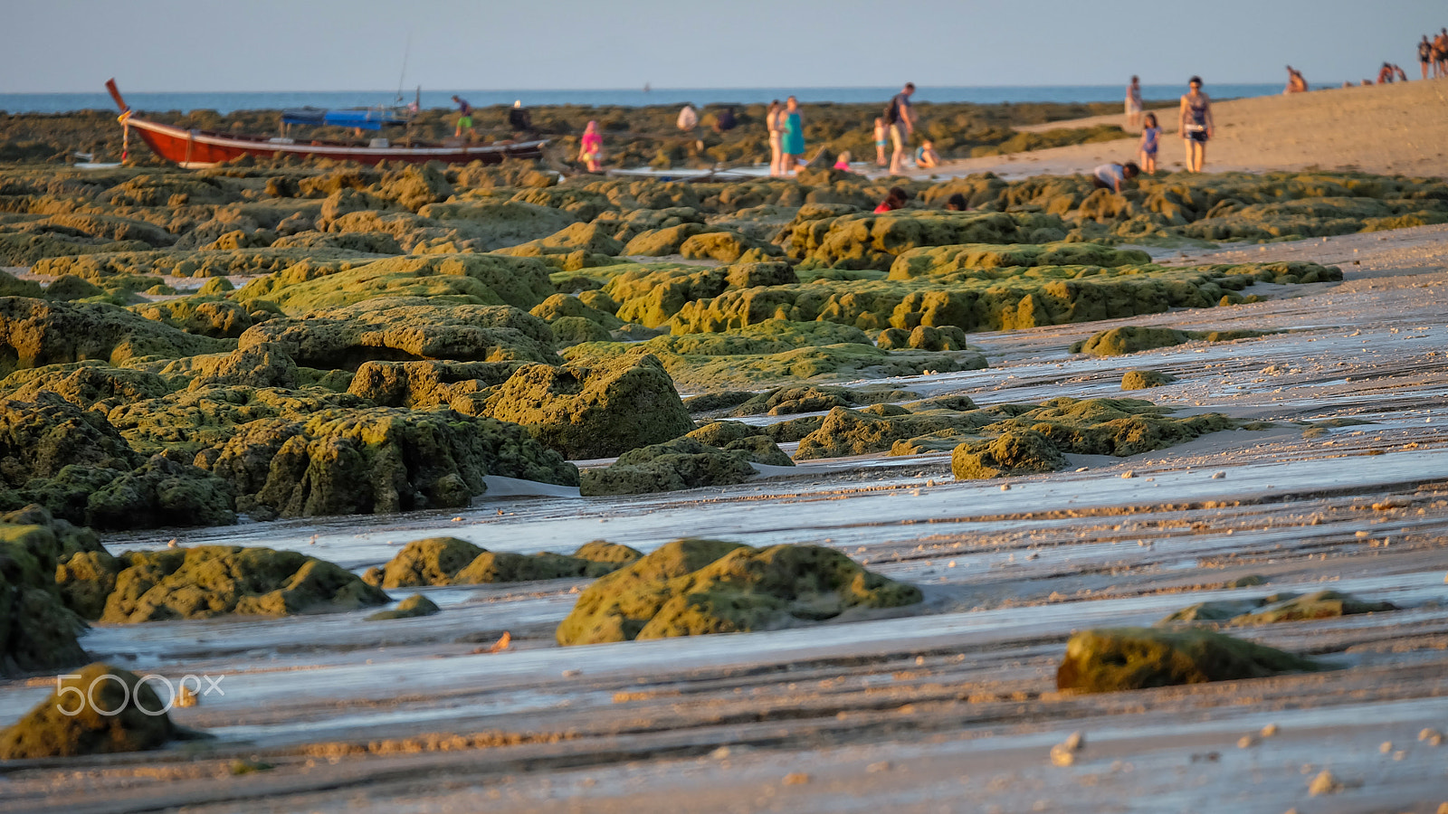 Fujifilm X-A2 + Fujifilm XC 50-230mm F4.5-6.7 OIS II sample photo. Low tide rocks photography