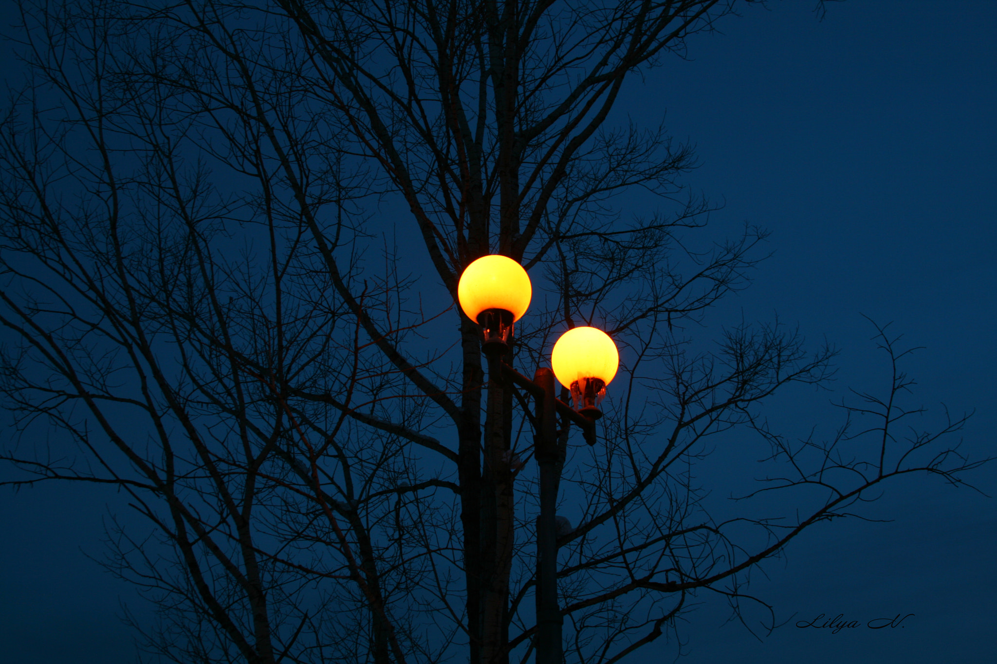 Canon EF 28-135mm F3.5-5.6 IS USM sample photo. . photography