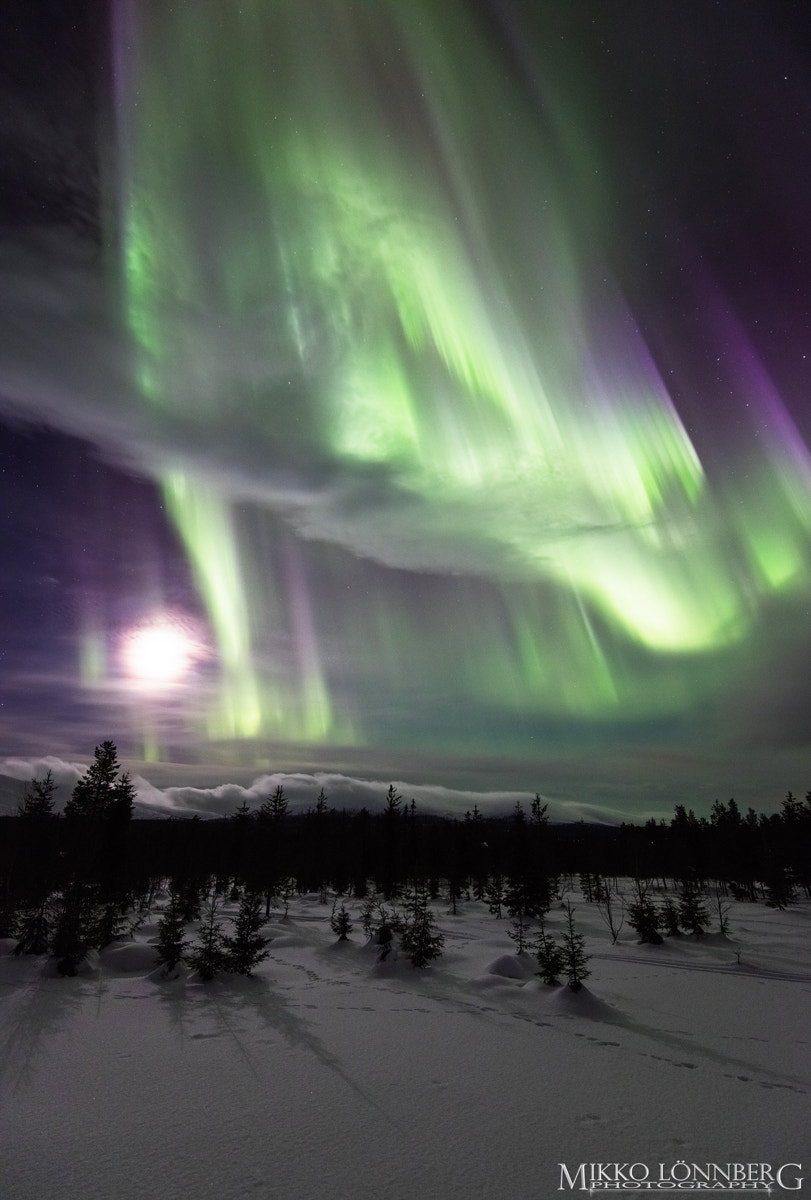 Canon EOS 5DS R + Canon EF 300mm f/2.8L sample photo. Arctic night photography