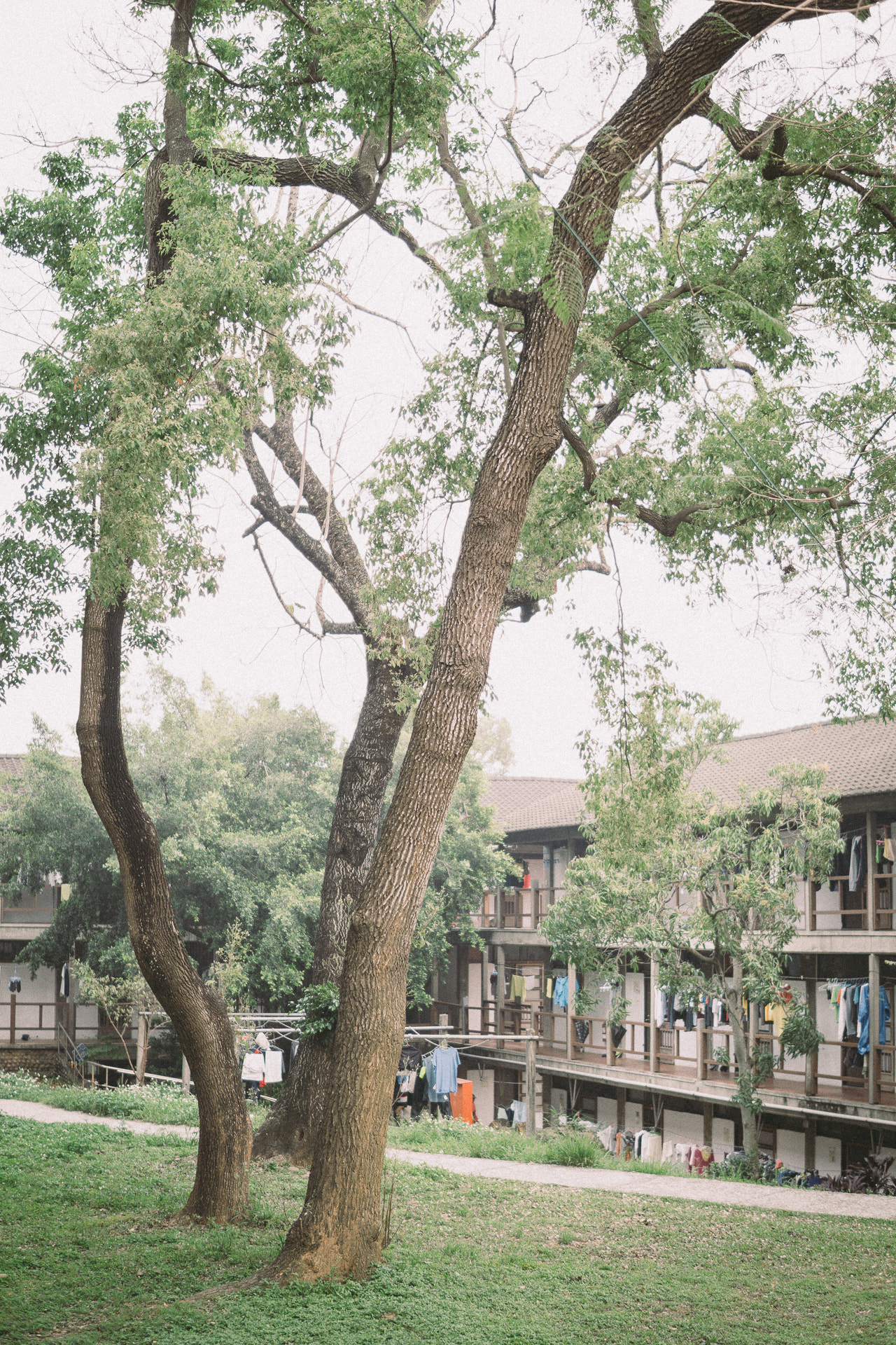 Sony a6000 + E 30mm F1.4 sample photo. Yard in male dormitory photography