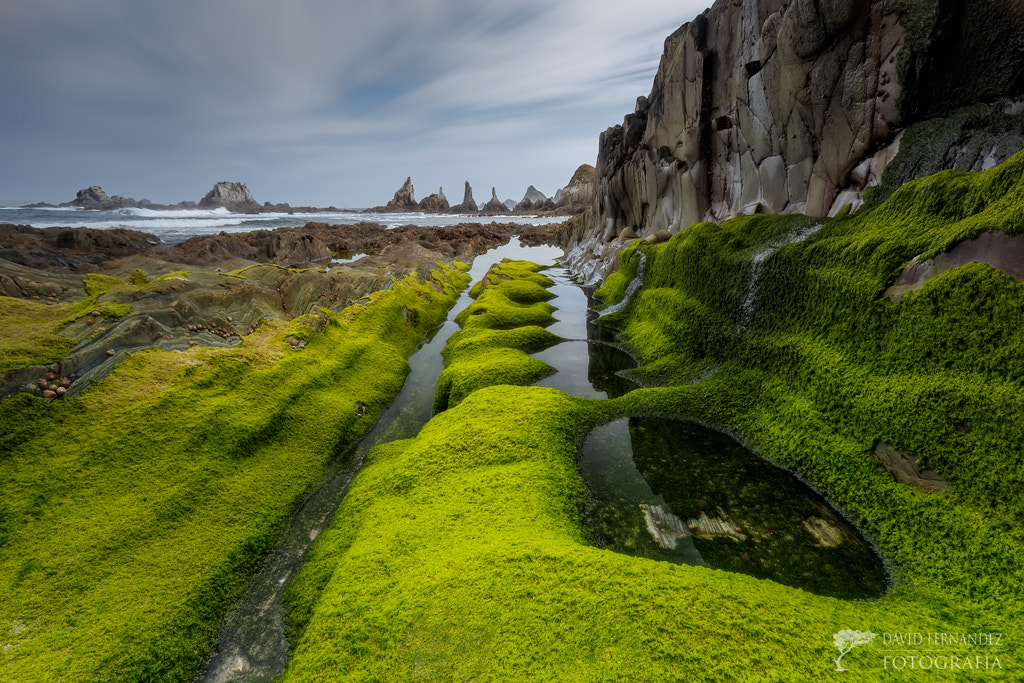 Canon EOS 6D + Canon EF 16-35mm F2.8L USM sample photo. Greenland photography
