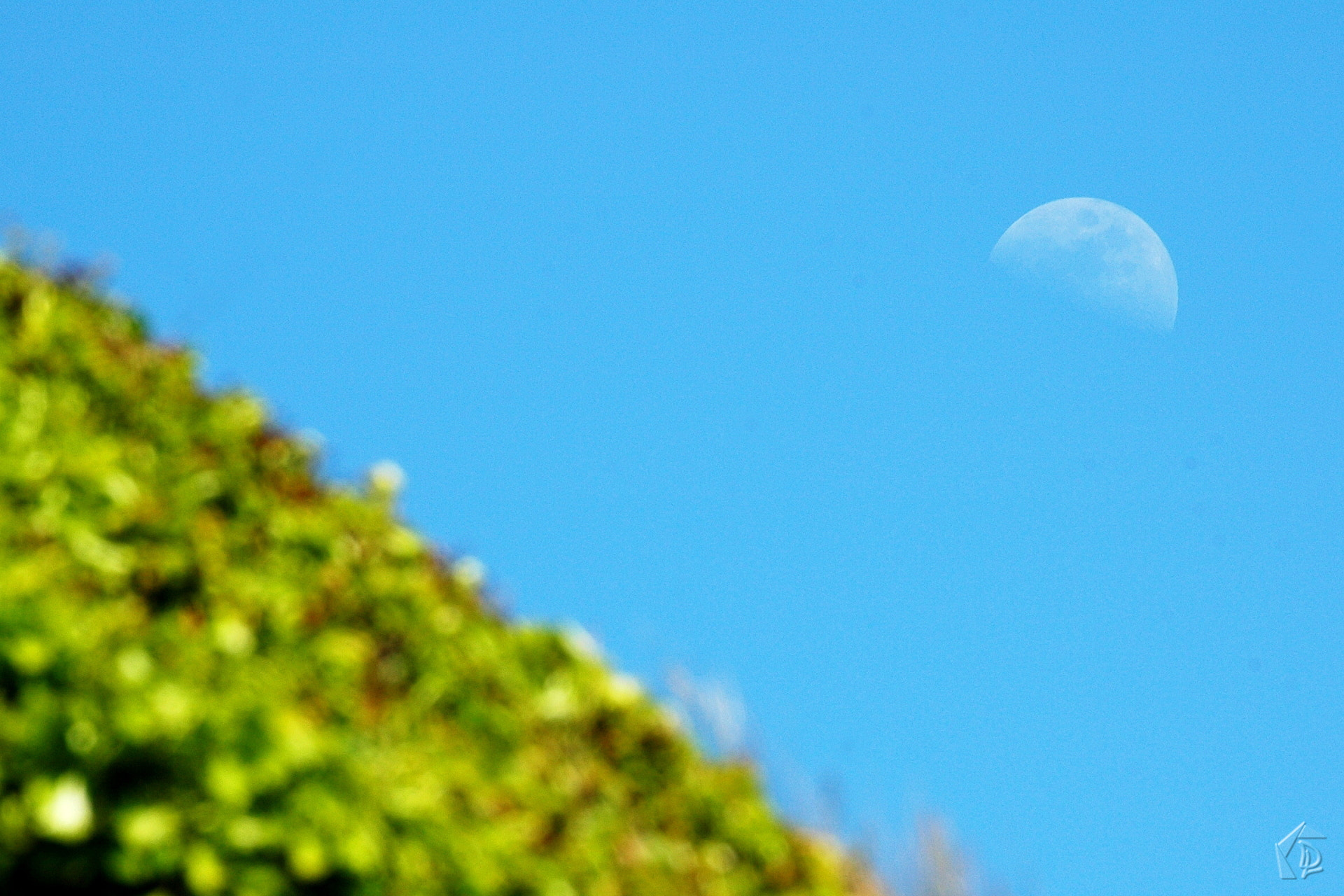 Nikon D70s + Sigma 70-300mm F4-5.6 APO Macro Super II sample photo. Hill and the moon photography