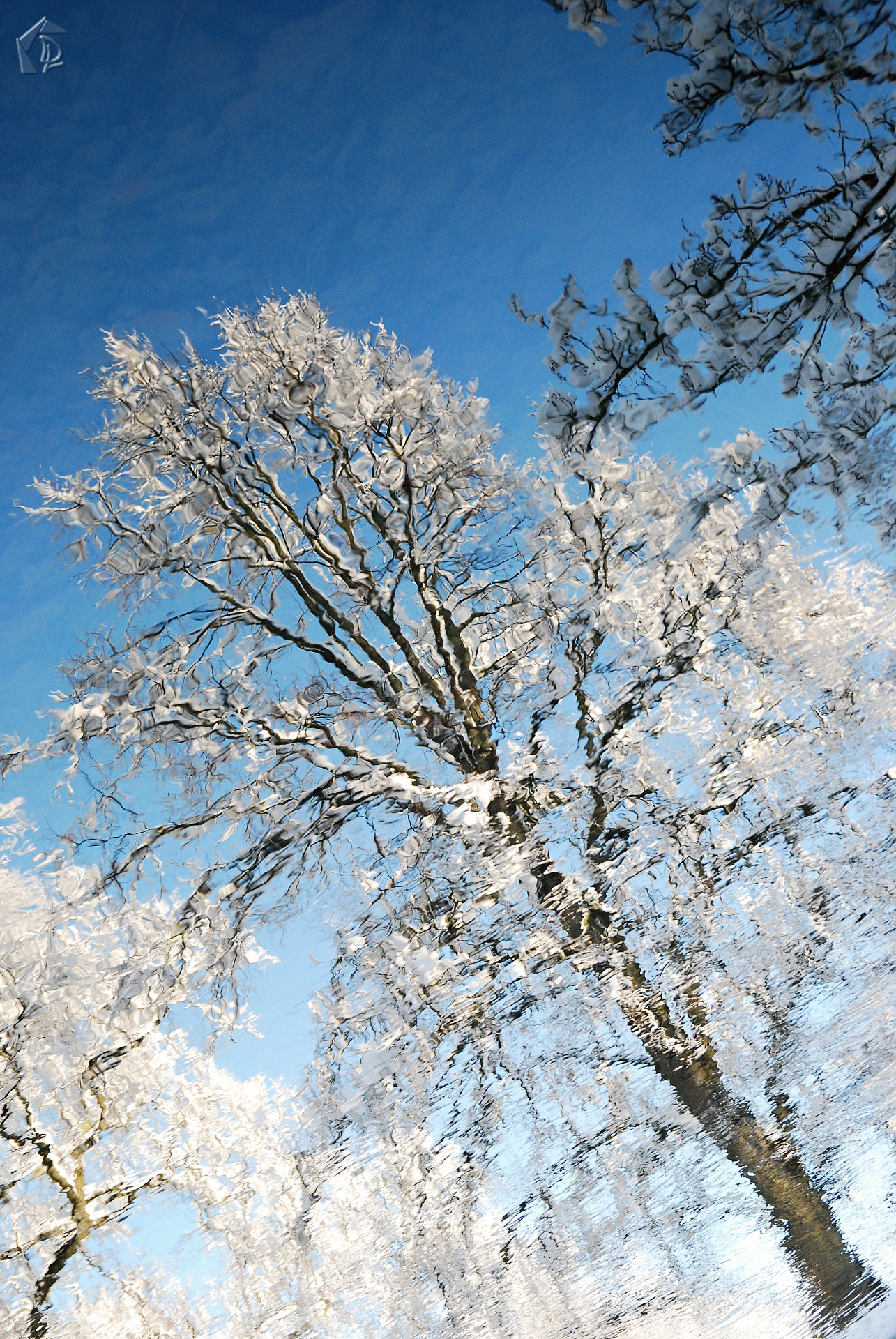 Nikon D80 + Sigma 18-50mm F2.8 EX DC sample photo. Winter in the river photography