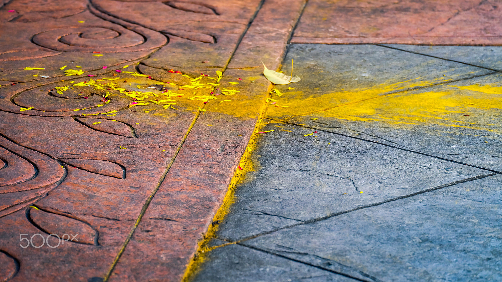 Fujifilm X-A2 + Fujifilm XC 50-230mm F4.5-6.7 OIS II sample photo. Yellow blossom powder photography