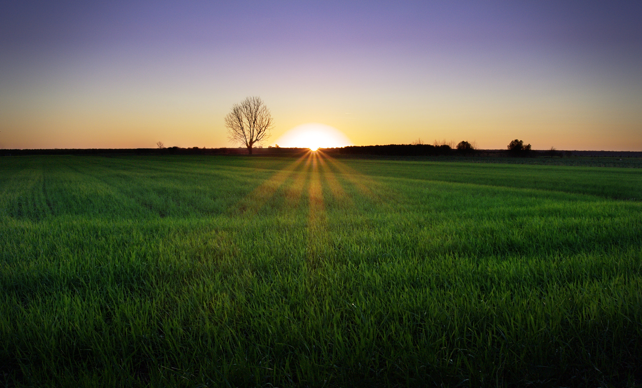 Nikon 1 S1 sample photo. Green sunset on traversagna photography