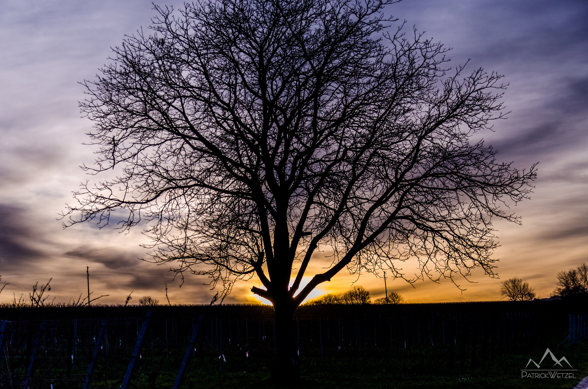 Sigma 18-200mm F3.5-6.3 DC OS HSM sample photo. Sunset photography