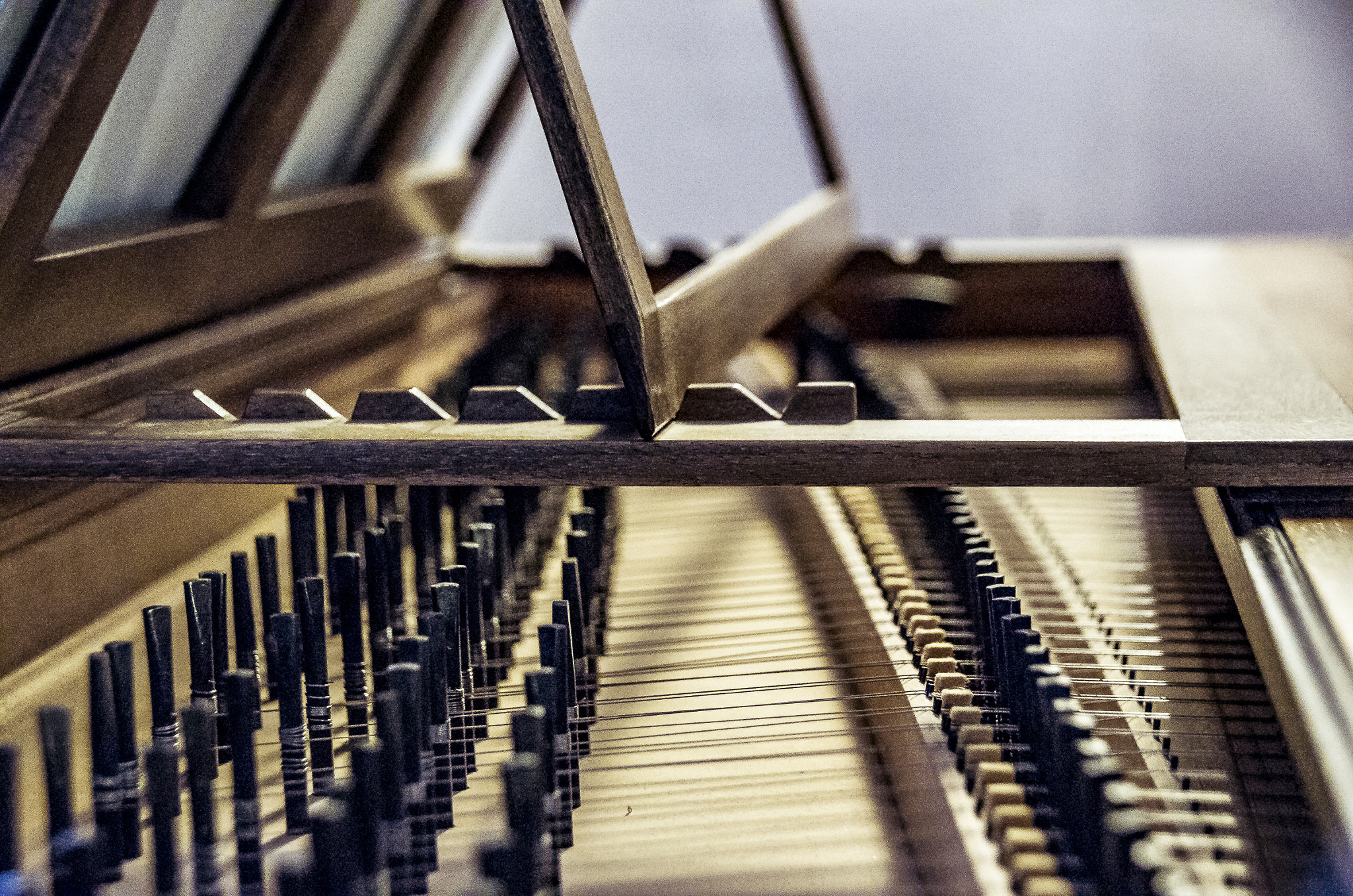 Sigma 18-250mm F3.5-6.3 DC Macro OS HSM sample photo. Musica ii photography