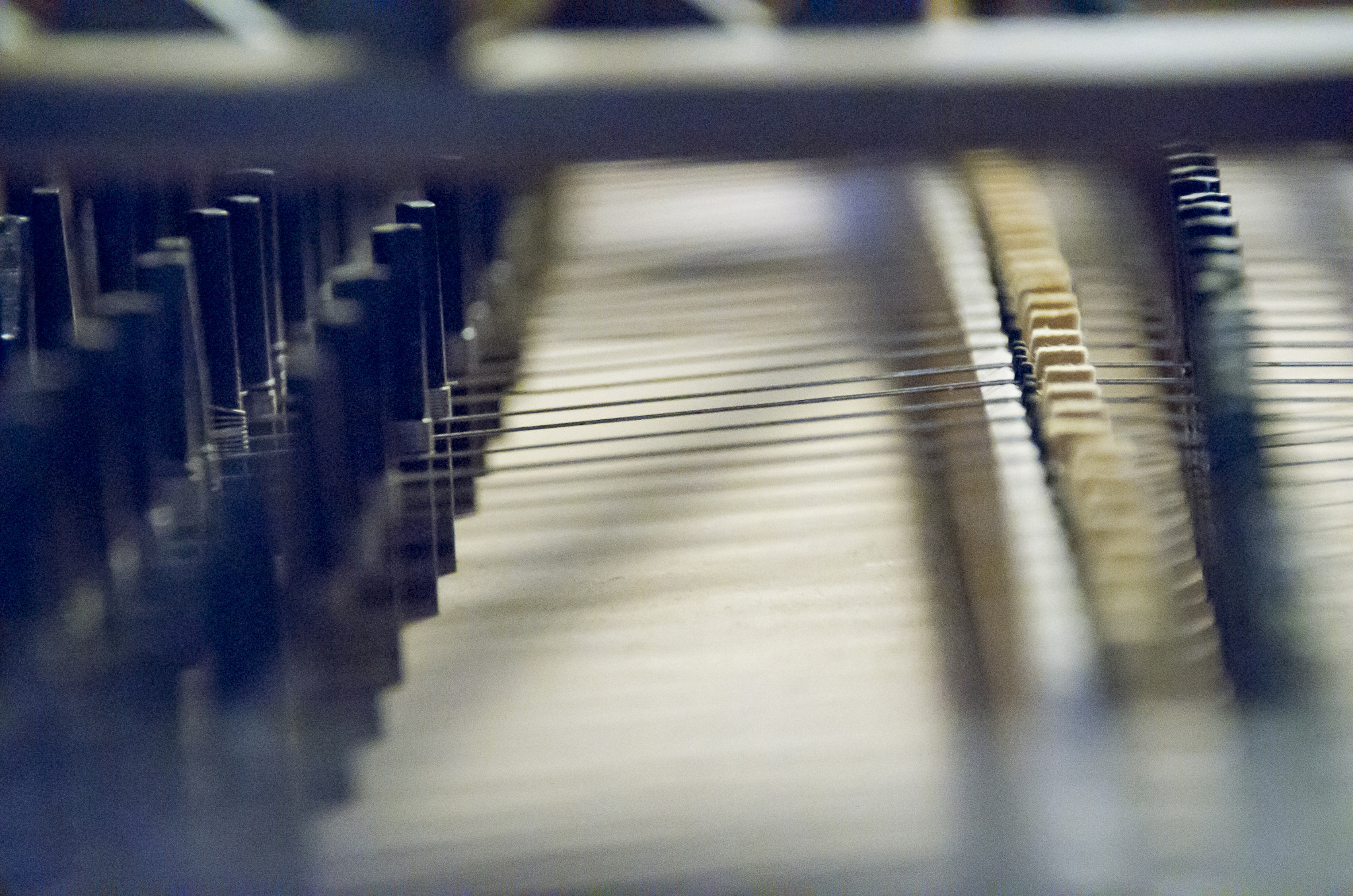 Sigma 18-250mm F3.5-6.3 DC Macro OS HSM sample photo. Musica iii photography