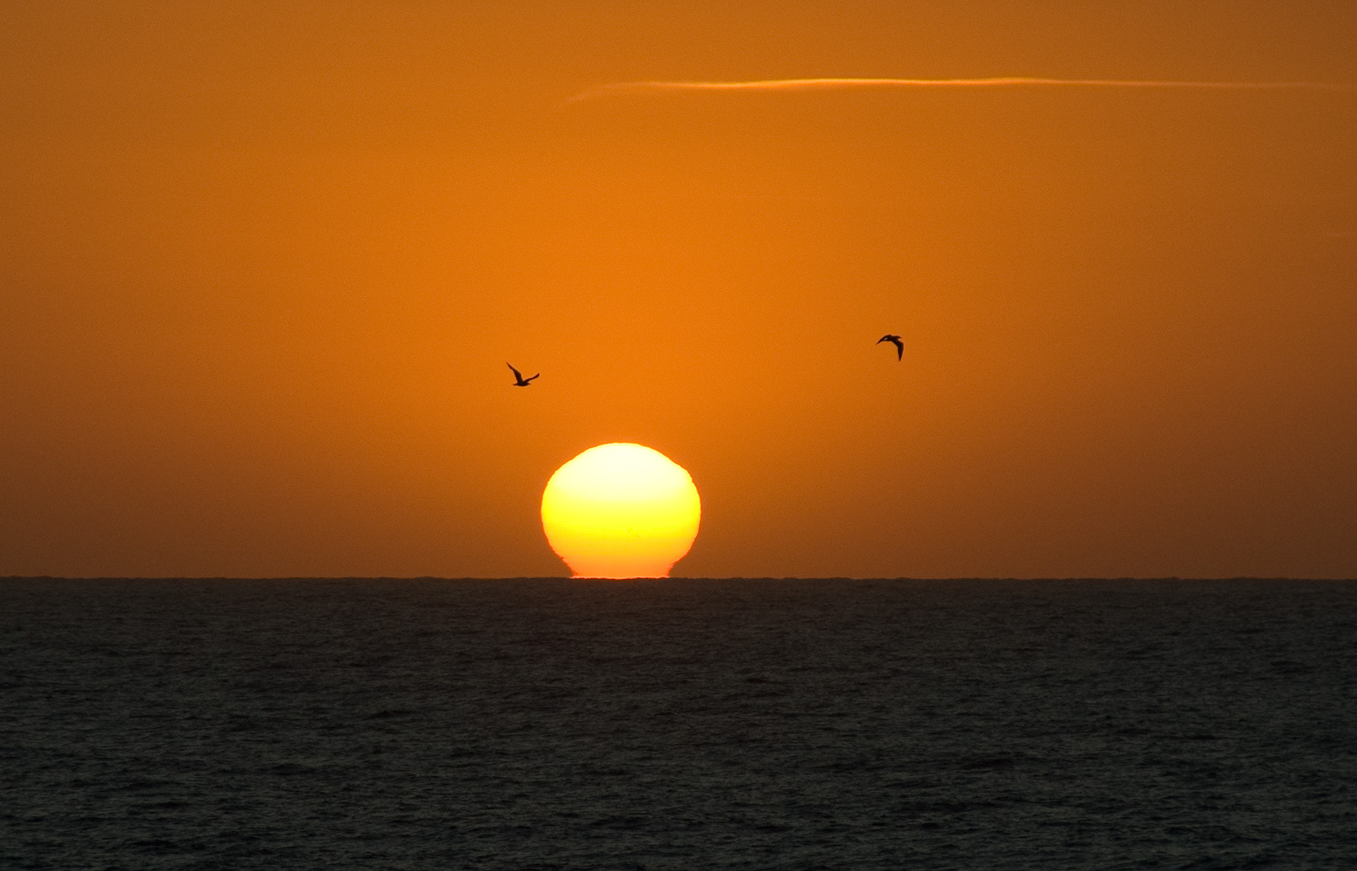Sigma 28-200mm F3.5-5.6 Compact Aspherical Hyperzoom Macro sample photo. Posta a menorca photography