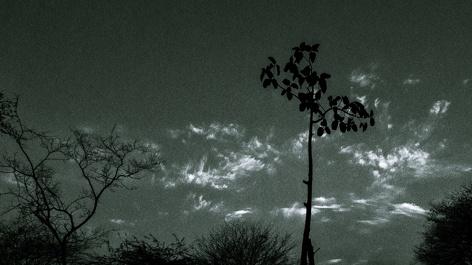 Sony Alpha NEX-7 + Sony Vario-Tessar T* E 16-70mm F4 ZA OSS sample photo. An evening script photography