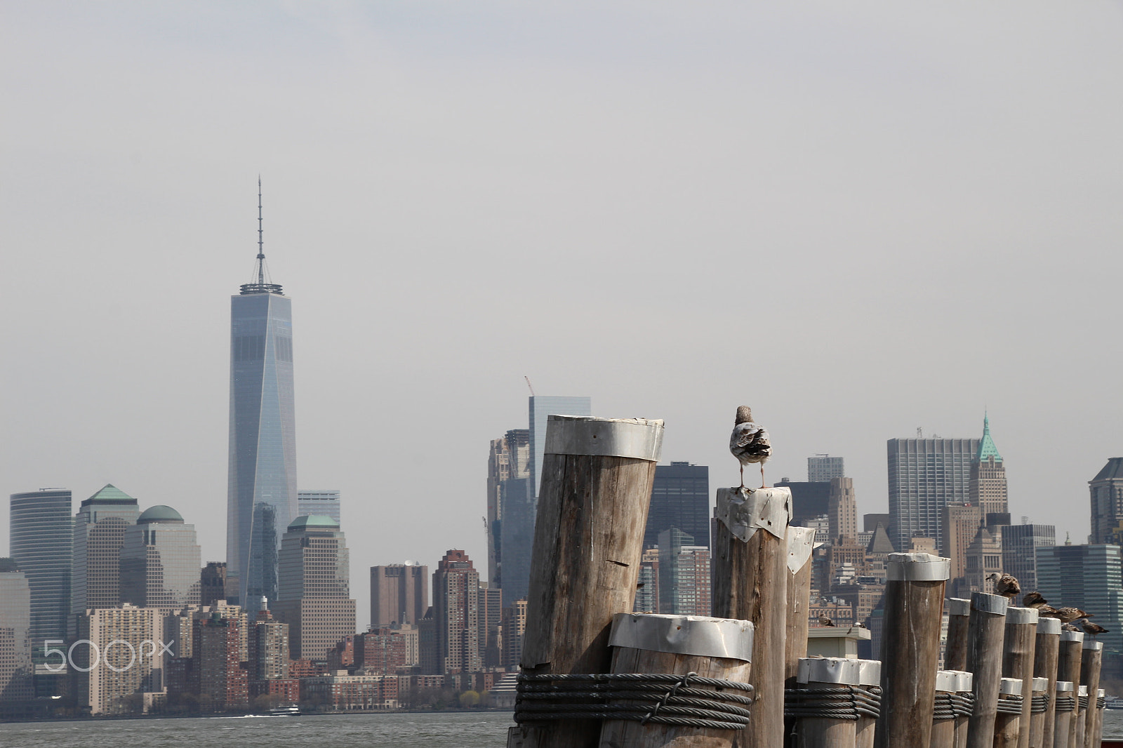 Canon EF-S 18-135mm F3.5-5.6 IS STM sample photo. Gazing at the big apple photography