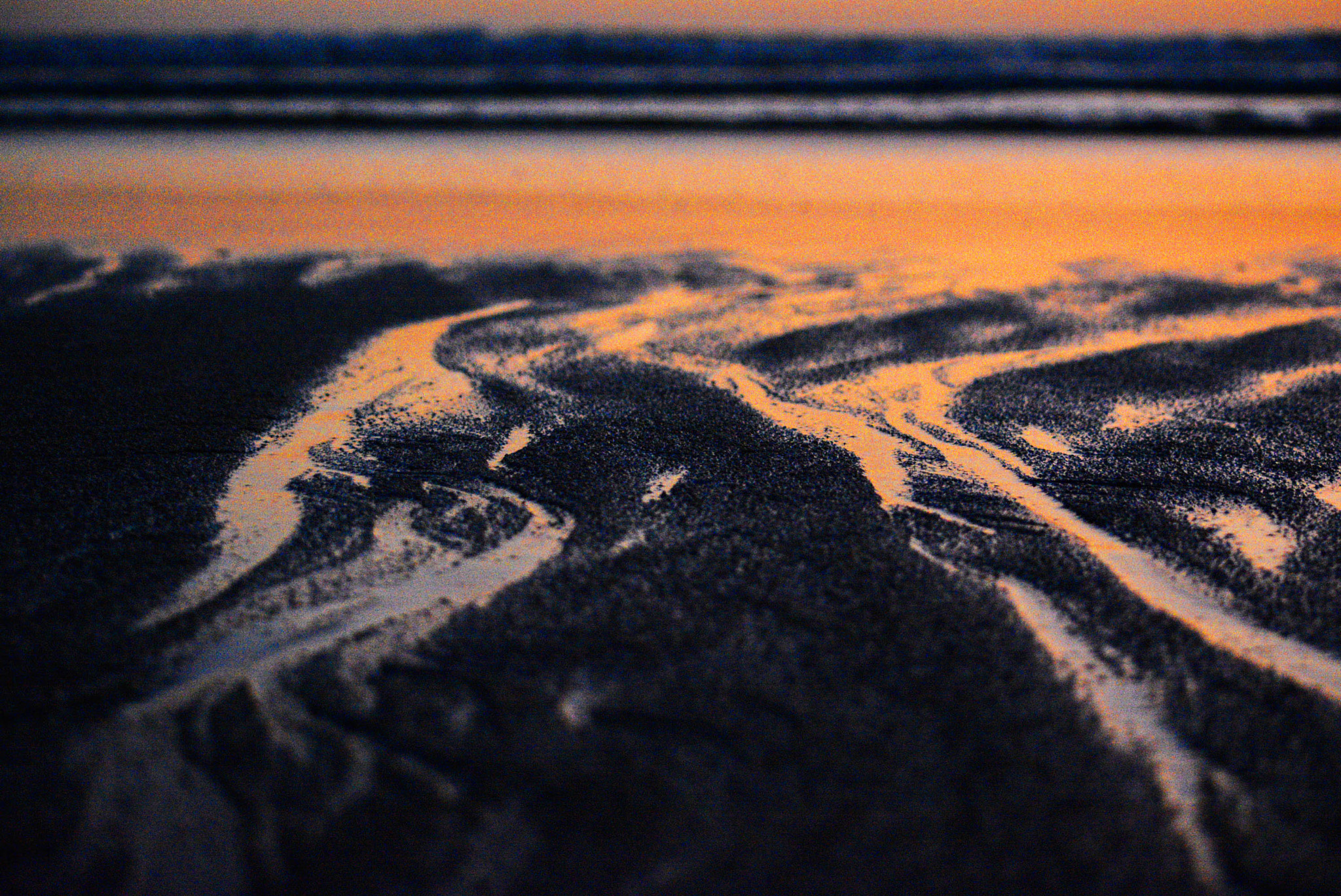 AF Zoom-Nikkor 28-100mm f/3.5-5.6G sample photo. Golden hour photography