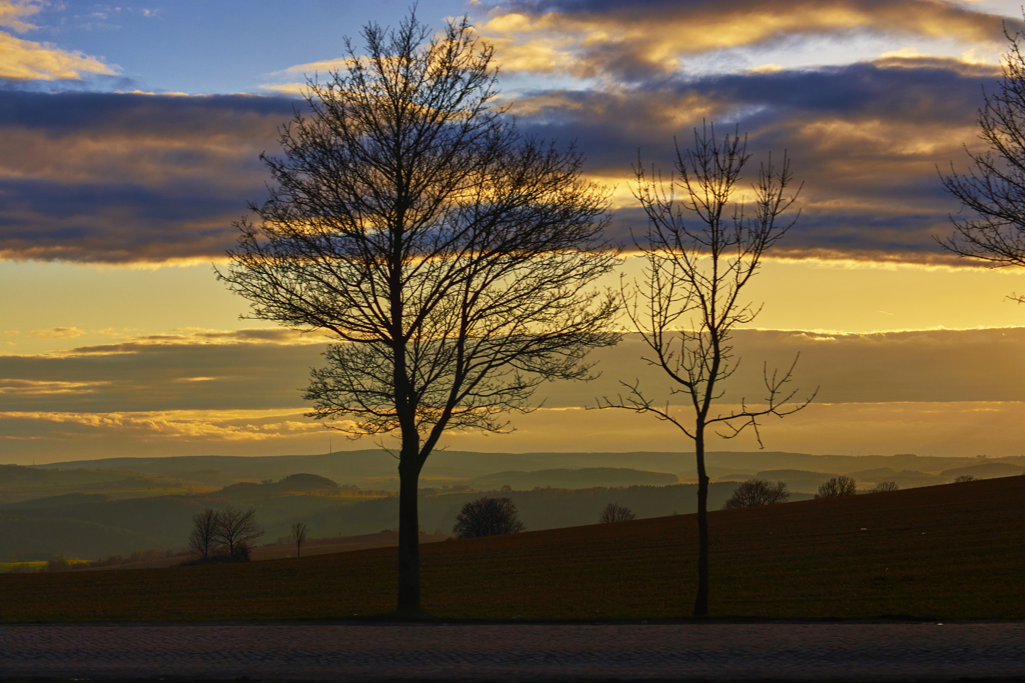 Sony SLT-A77 + Sony DT 50mm F1.8 SAM sample photo. The trees photography