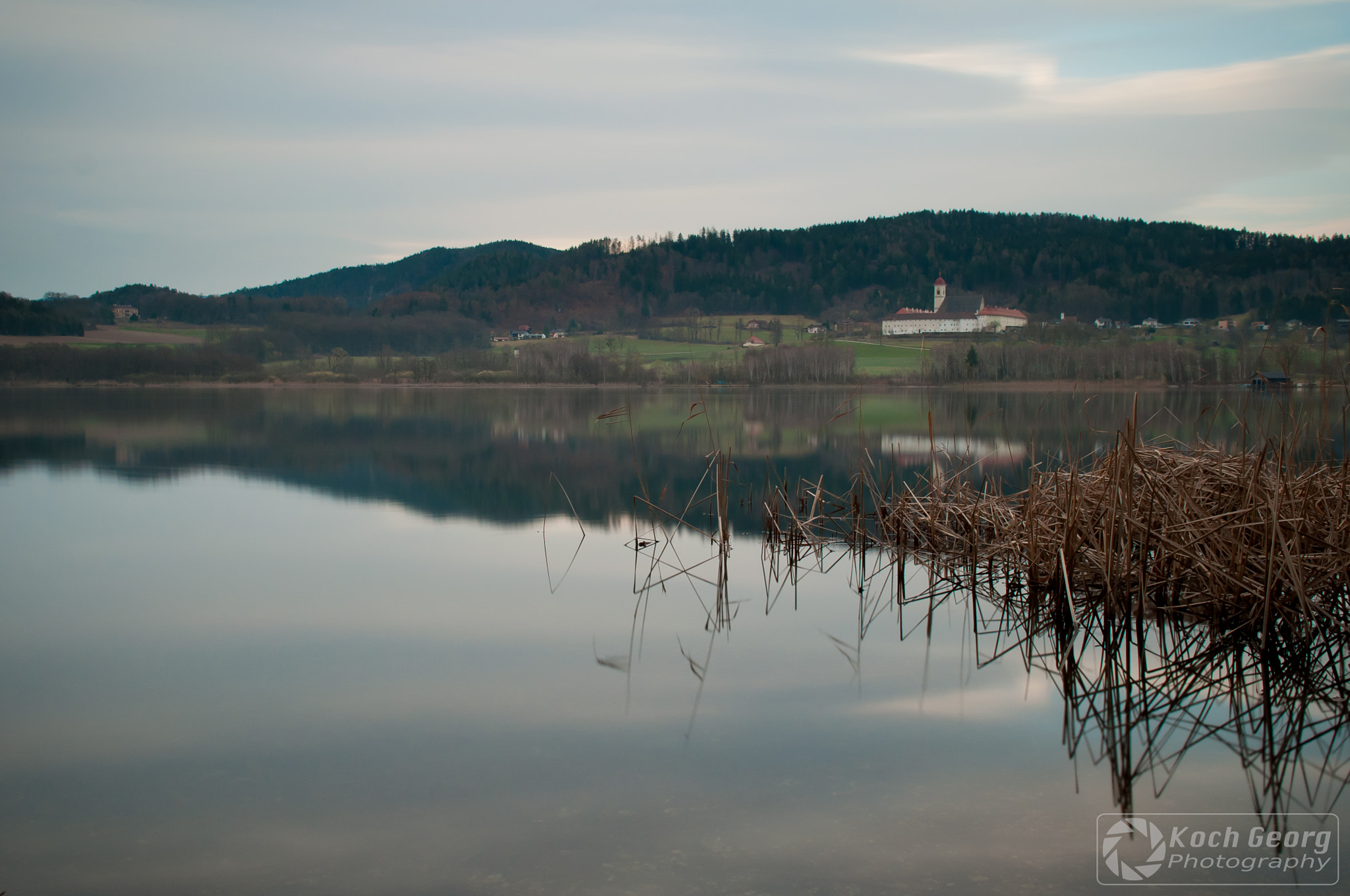 Sigma 18-50mm F2.8-4.5 DC OS HSM sample photo. Reed photography
