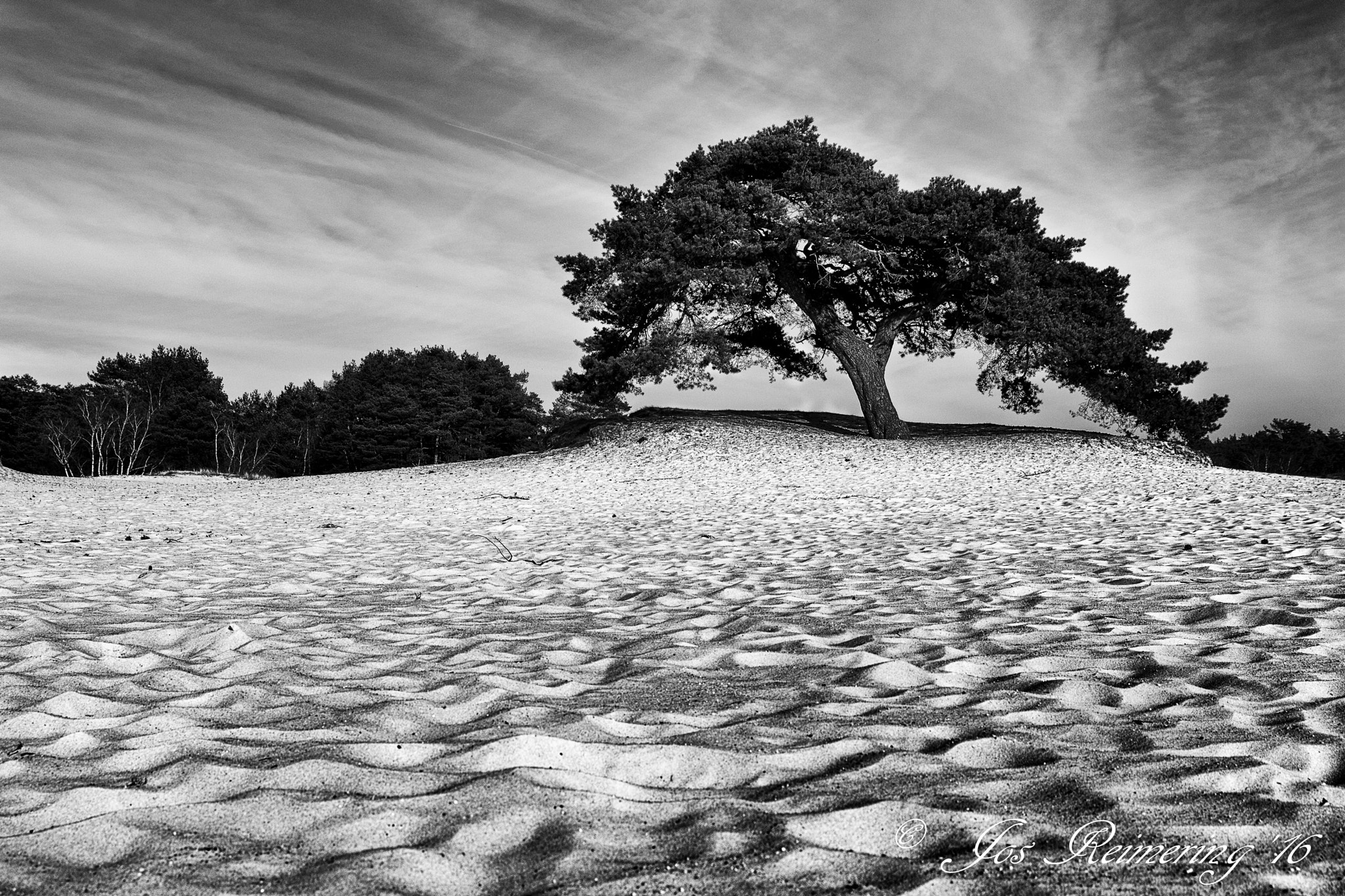 Nikon D7100 + Sigma 24-70mm F2.8 EX DG Macro sample photo. Dutch desert iii photography