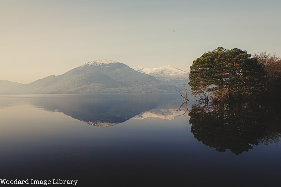 Canon EOS 5DS + Canon TS-E 24mm f/3.5L sample photo. Spring morning reflection photography